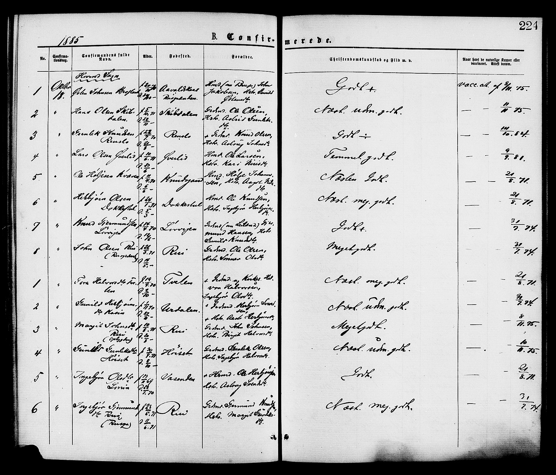 Gransherad kirkebøker, SAKO/A-267/F/Fa/L0004: Parish register (official) no. I 4, 1871-1886, p. 224