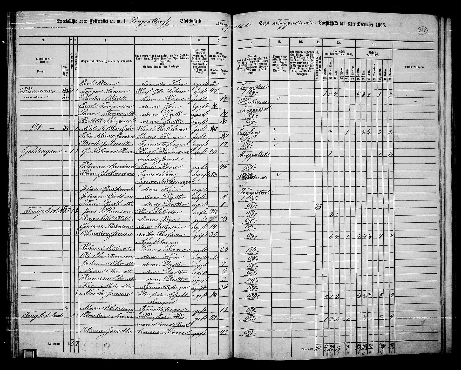 RA, 1865 census for Trøgstad, 1865, p. 88