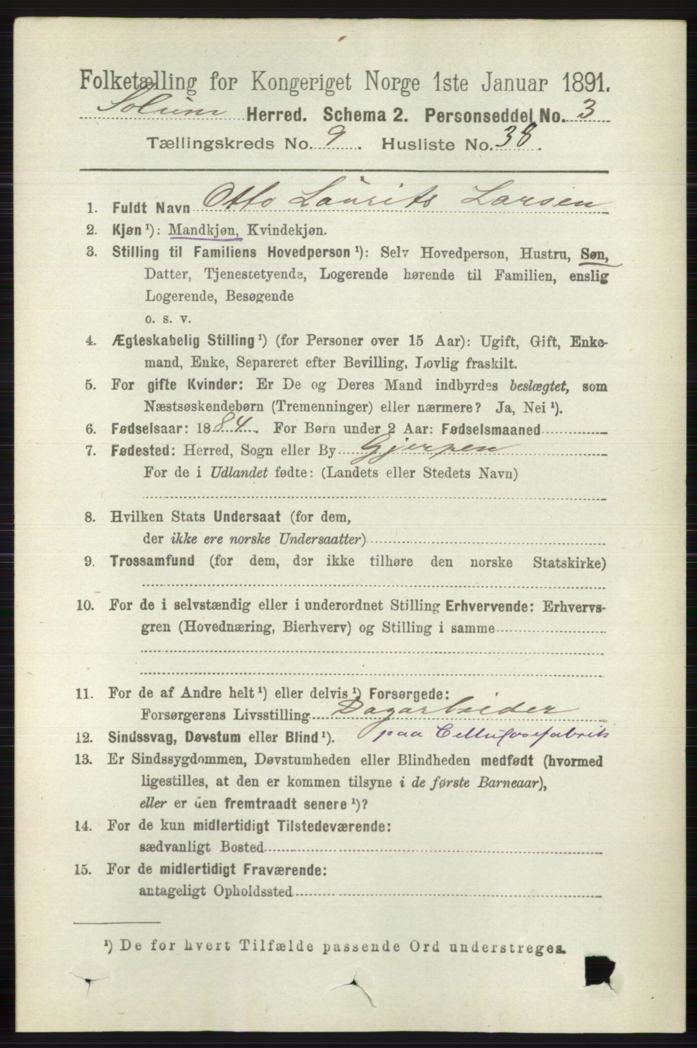 RA, 1891 census for 0818 Solum, 1891, p. 2172