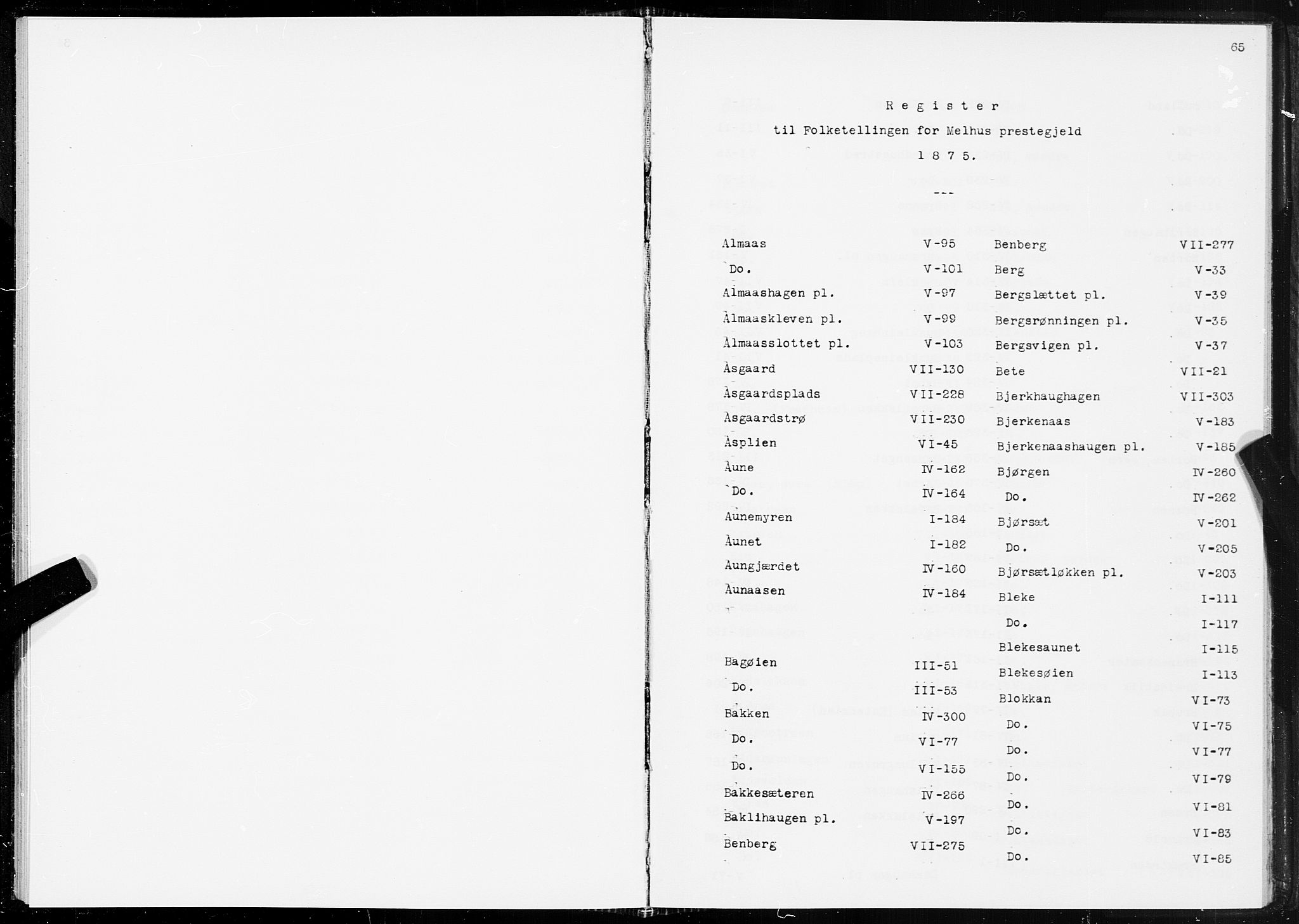 SAT, 1875 census for 1653P Melhus, 1875, p. 65