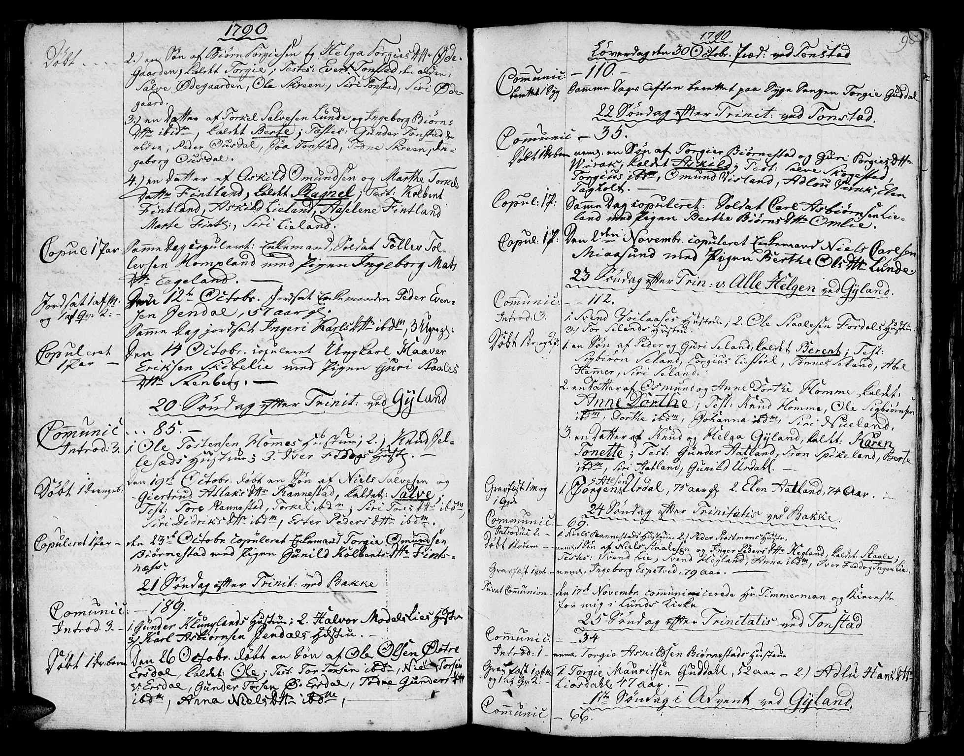 Bakke sokneprestkontor, SAK/1111-0002/F/Fa/Faa/L0002: Parish register (official) no. A 2, 1780-1816, p. 96