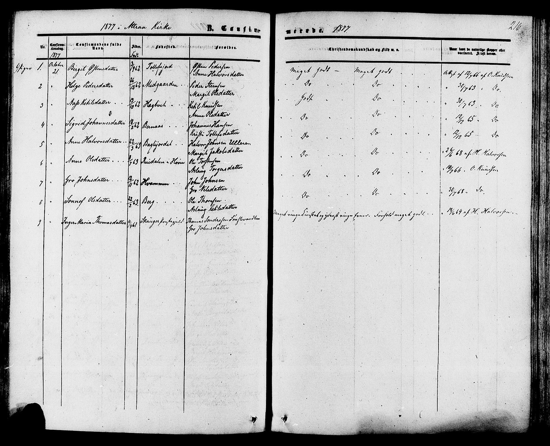 Tinn kirkebøker, AV/SAKO-A-308/F/Fa/L0006: Parish register (official) no. I 6, 1857-1878, p. 216