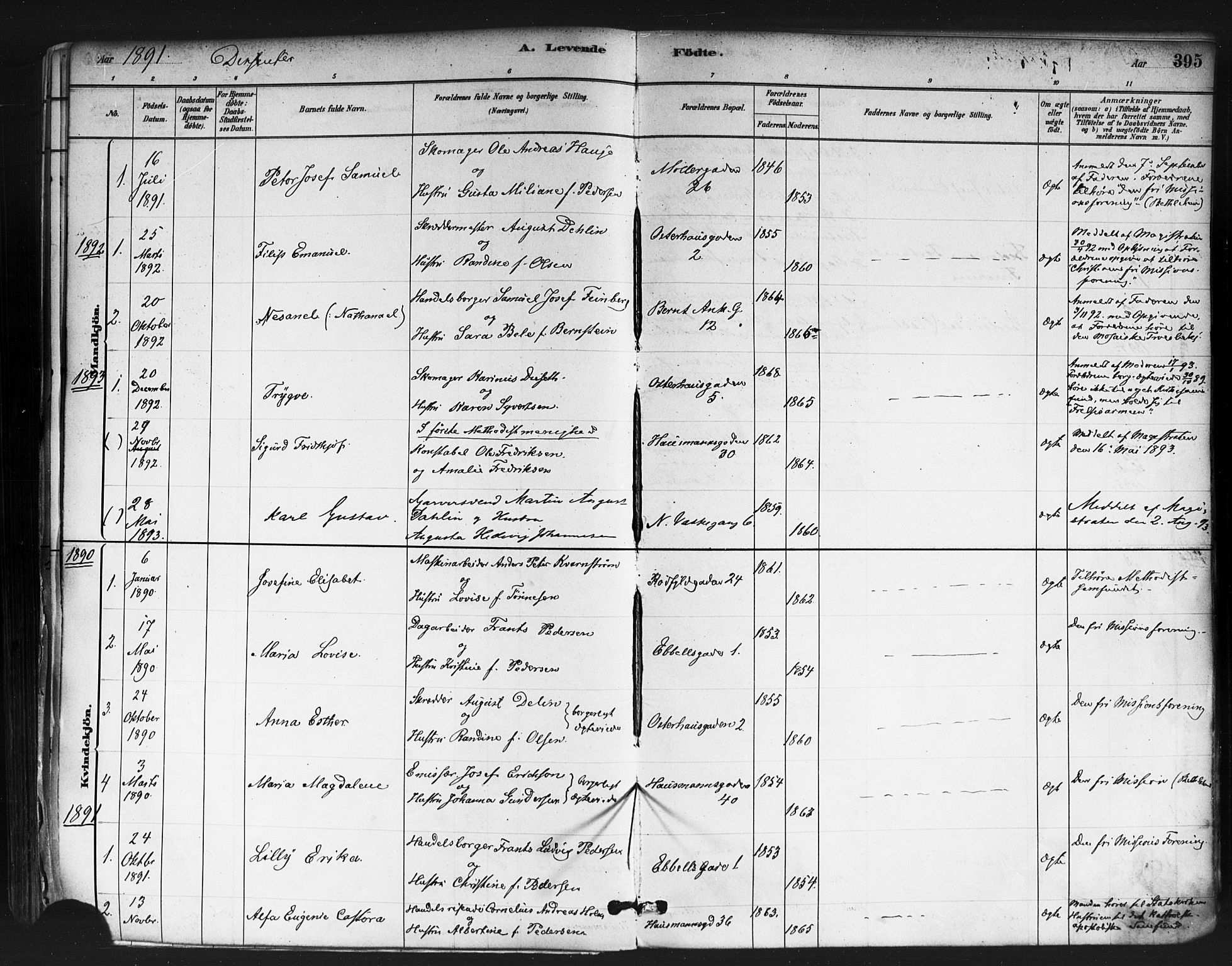 Jakob prestekontor Kirkebøker, SAO/A-10850/F/Fa/L0003: Parish register (official) no. 3, 1880-1895, p. 395