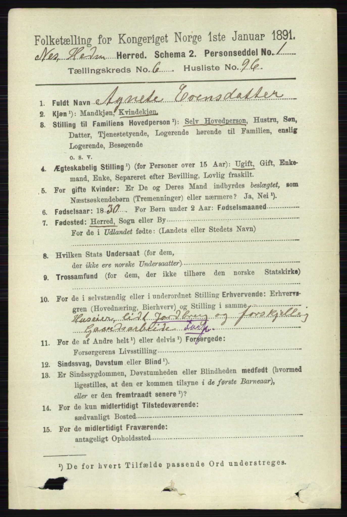 RA, 1891 census for 0411 Nes, 1891, p. 3826