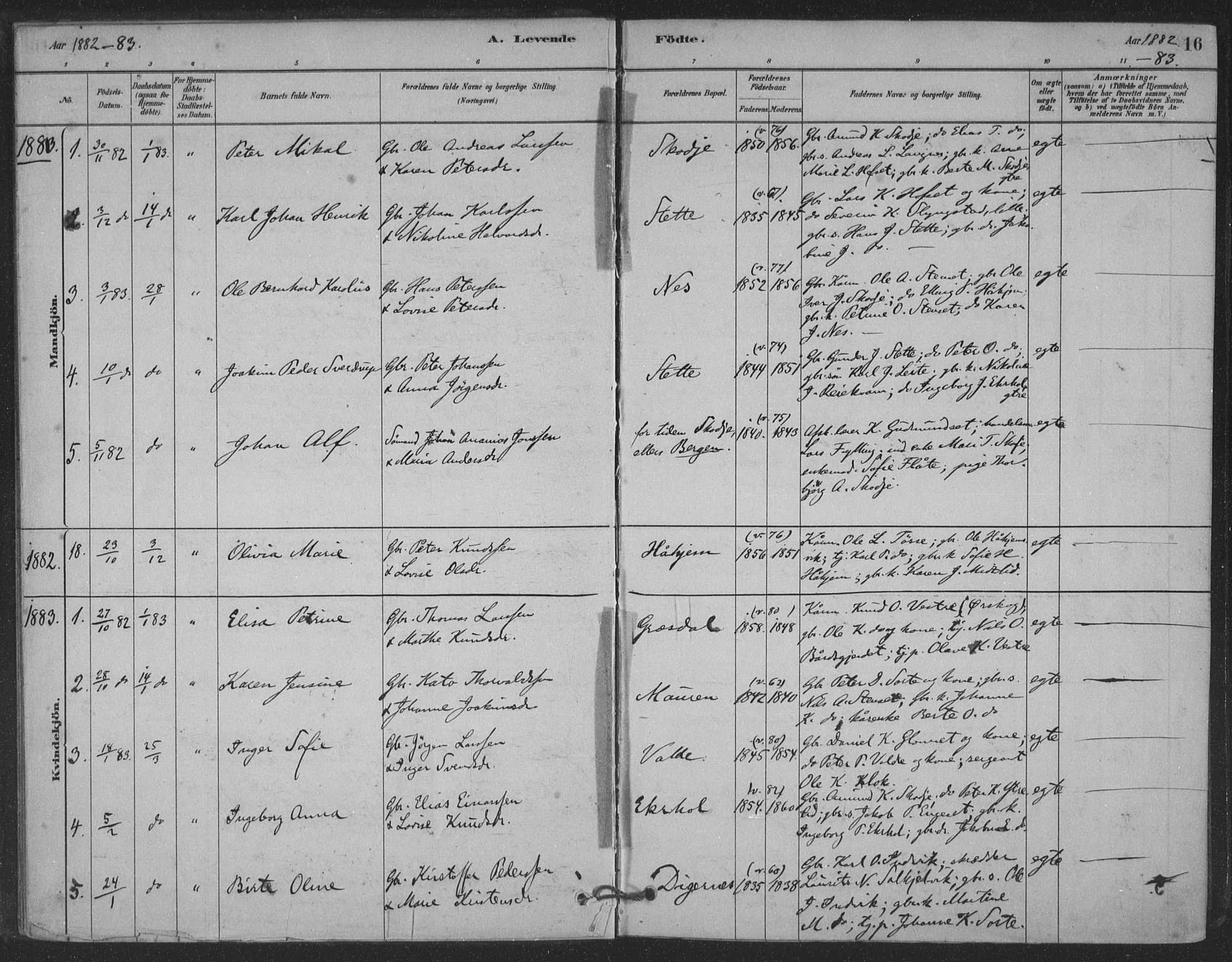 Ministerialprotokoller, klokkerbøker og fødselsregistre - Møre og Romsdal, AV/SAT-A-1454/524/L0356: Parish register (official) no. 524A08, 1880-1899, p. 16