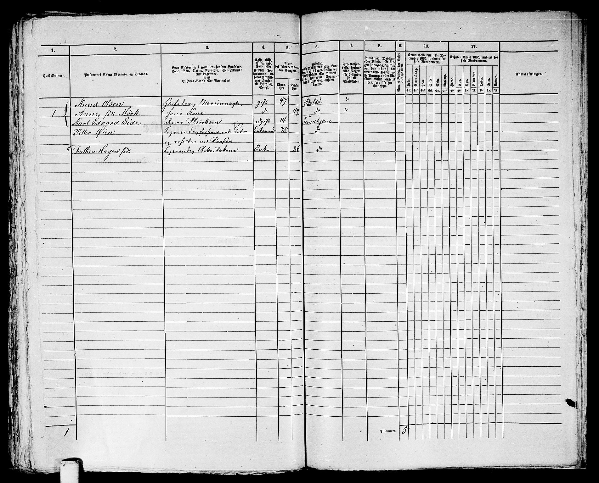 RA, 1865 census for Trondheim, 1865, p. 1510