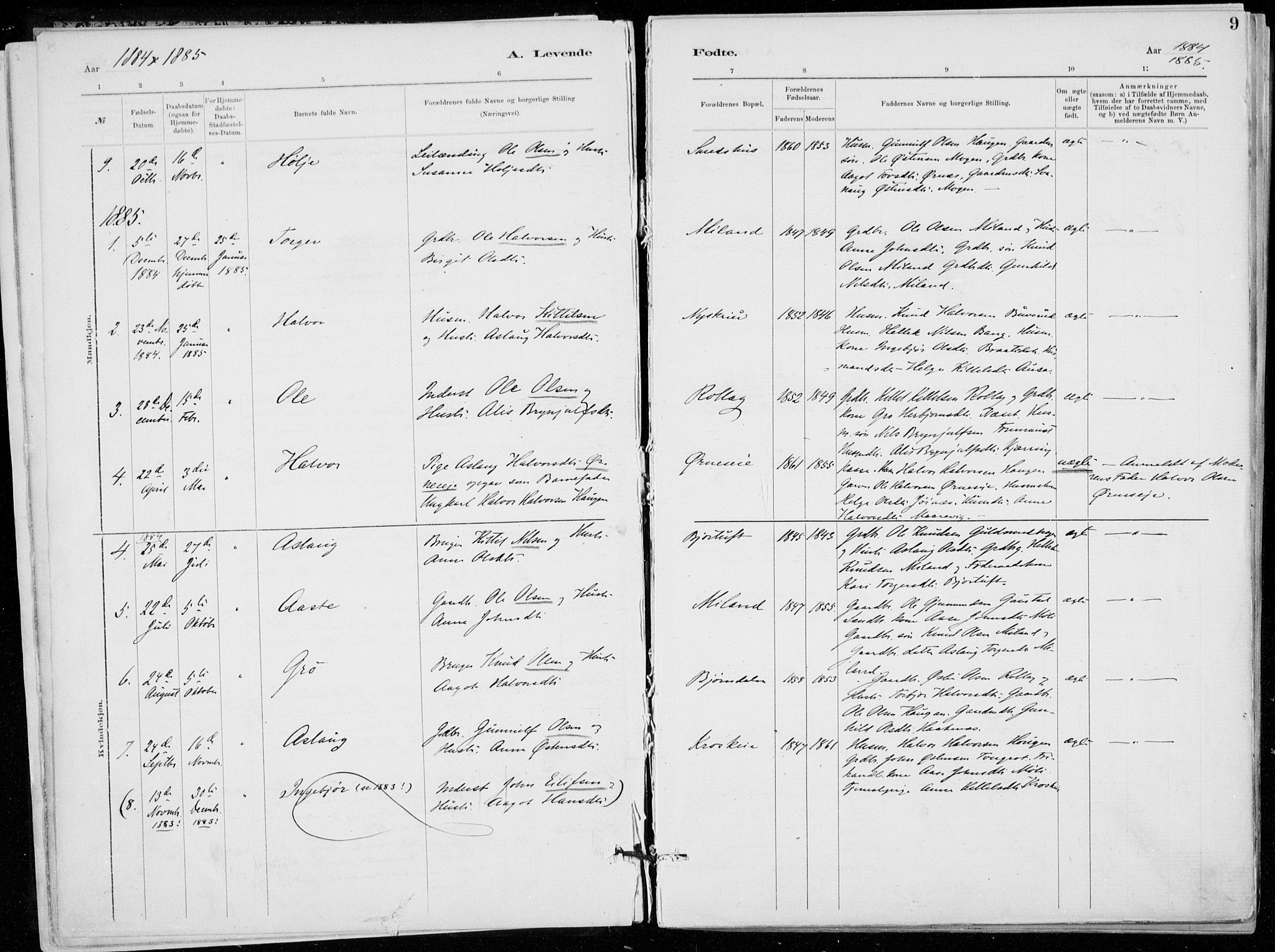Tinn kirkebøker, SAKO/A-308/F/Fb/L0002: Parish register (official) no. II 2, 1878-1917, p. 9
