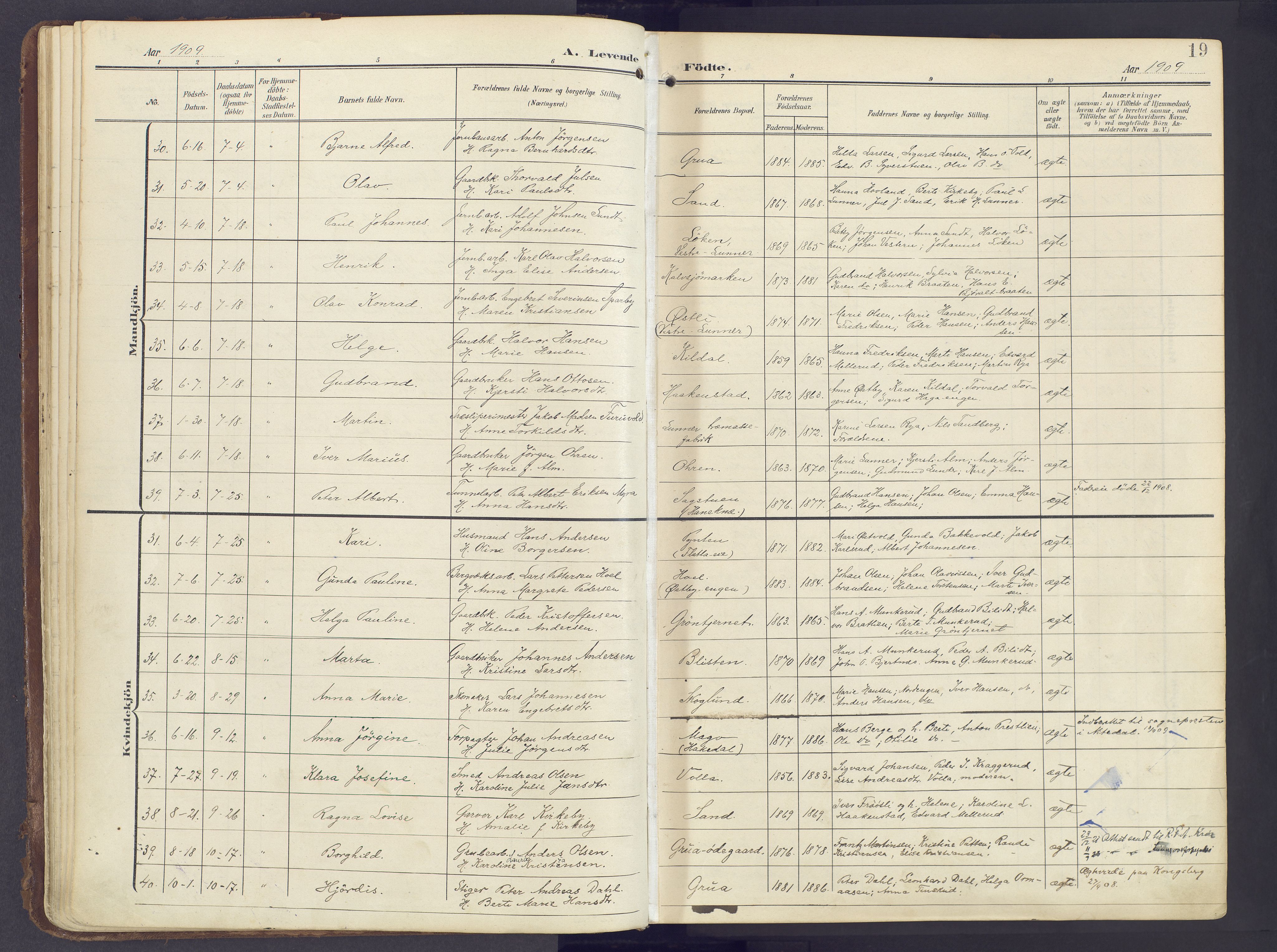 Lunner prestekontor, AV/SAH-PREST-118/H/Ha/Haa/L0001: Parish register (official) no. 1, 1907-1922, p. 19