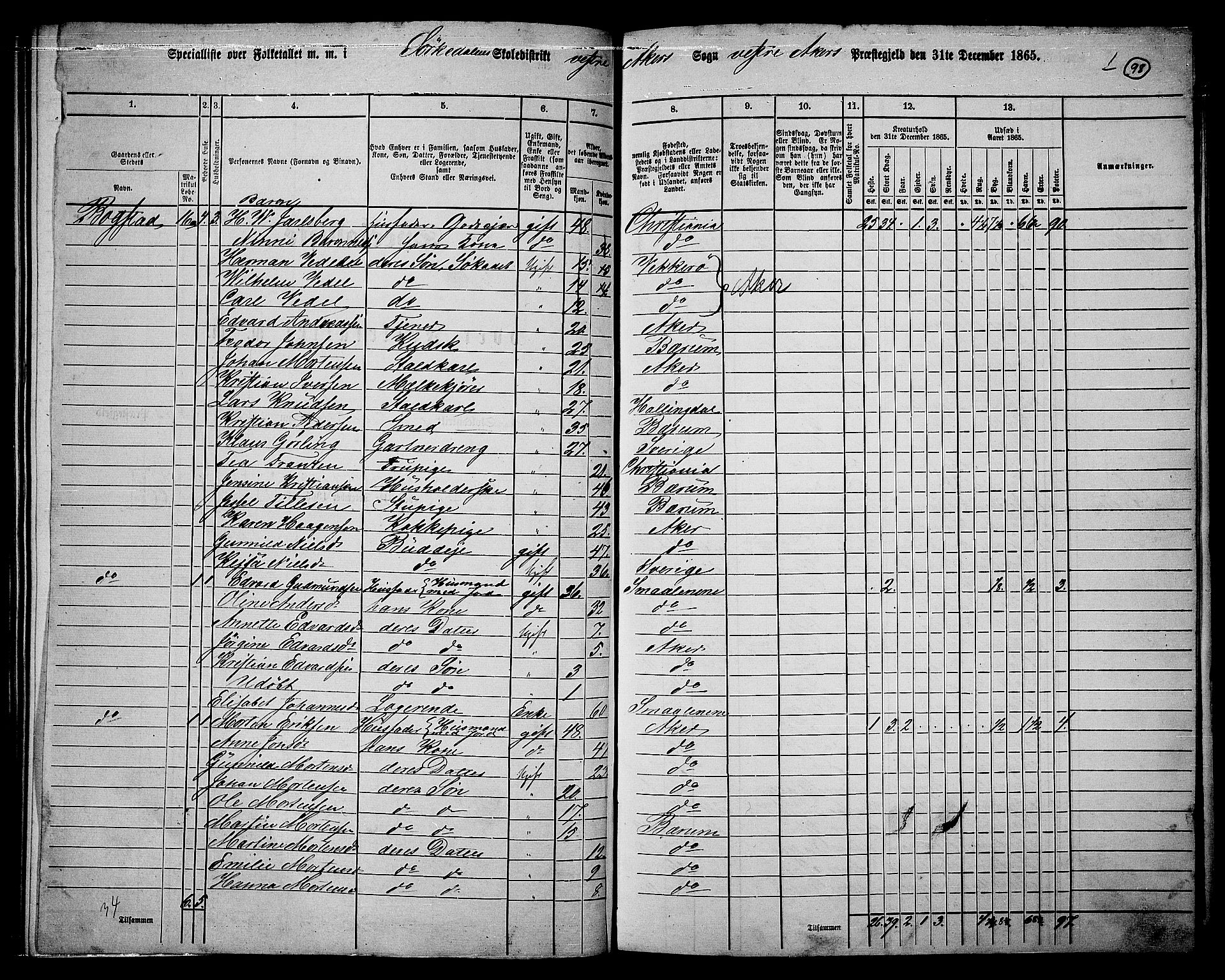 RA, 1865 census for Vestre Aker, 1865, p. 91