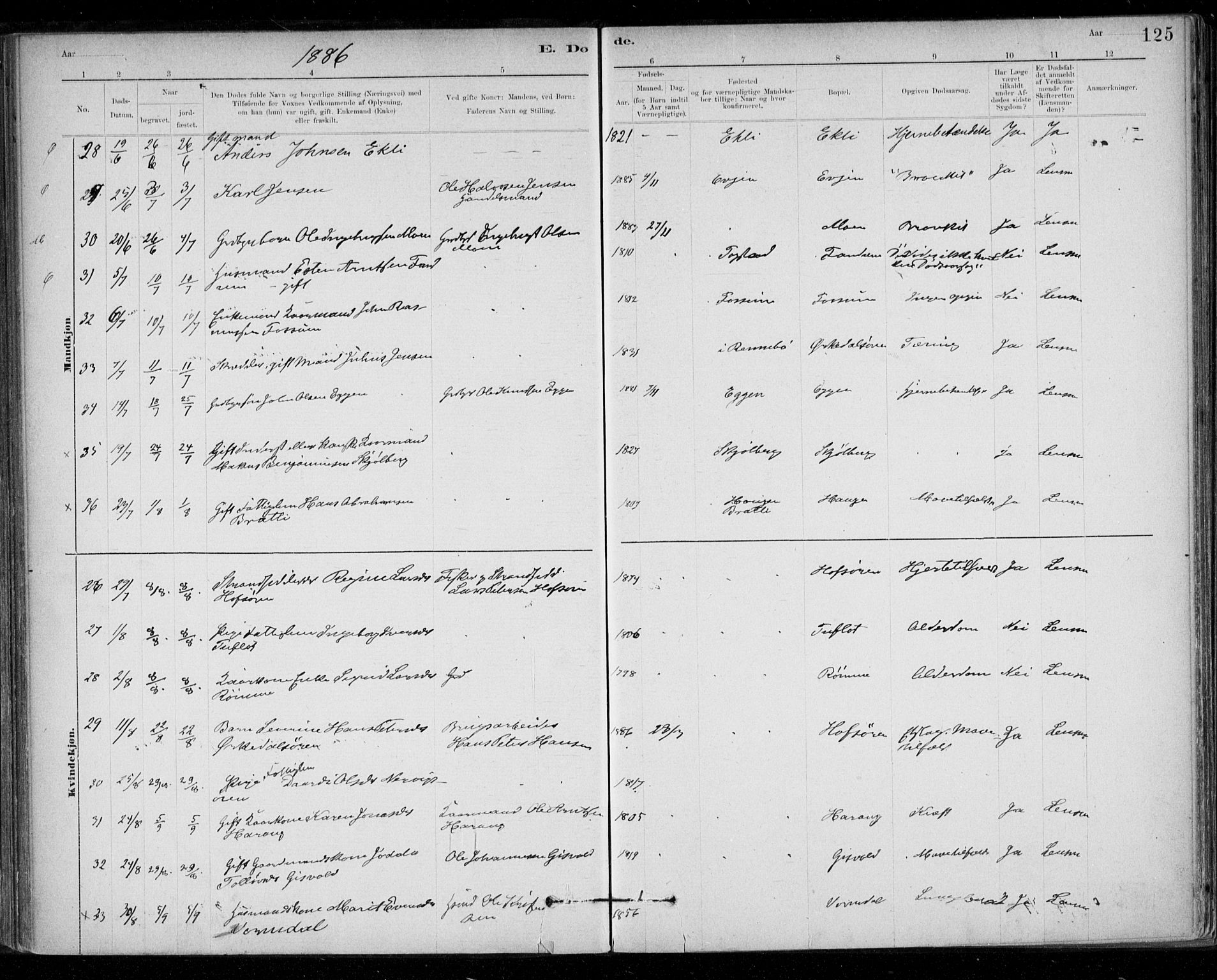 Ministerialprotokoller, klokkerbøker og fødselsregistre - Sør-Trøndelag, AV/SAT-A-1456/668/L0810: Parish register (official) no. 668A10, 1881-1894, p. 125