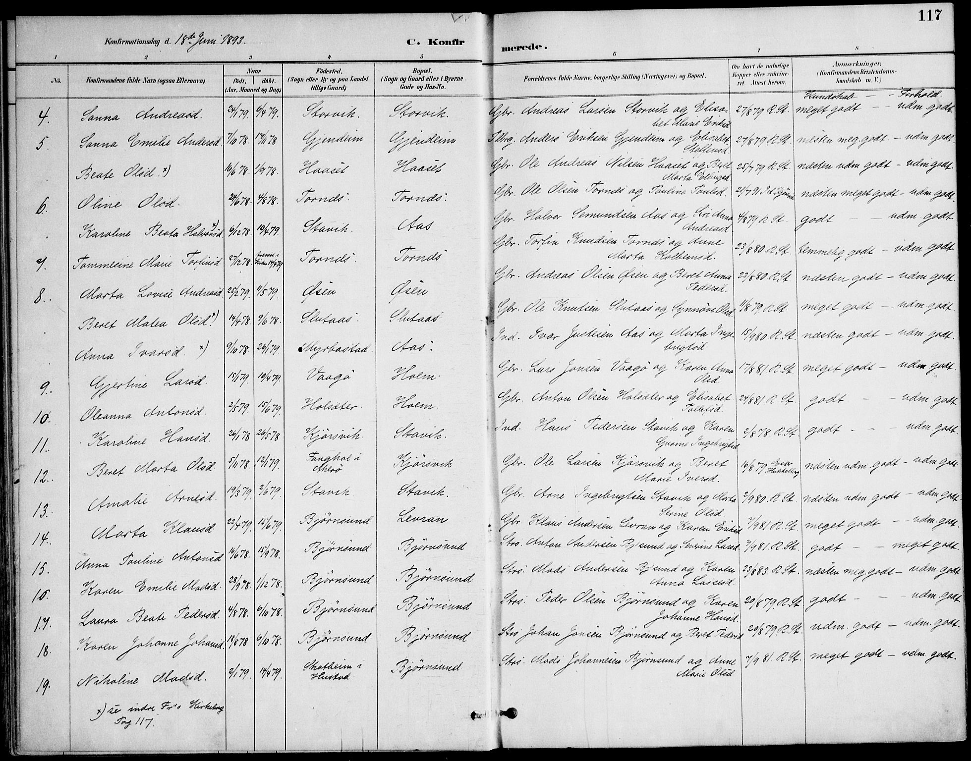 Ministerialprotokoller, klokkerbøker og fødselsregistre - Møre og Romsdal, AV/SAT-A-1454/565/L0750: Parish register (official) no. 565A04, 1887-1905, p. 117