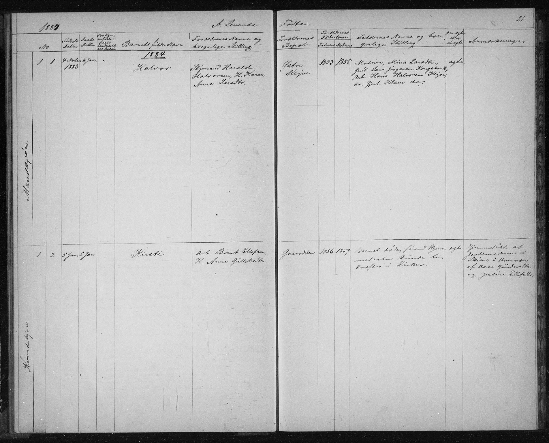 Solum kirkebøker, SAKO/A-306/G/Ga/L0006: Parish register (copy) no. I 6, 1882-1883, p. 21