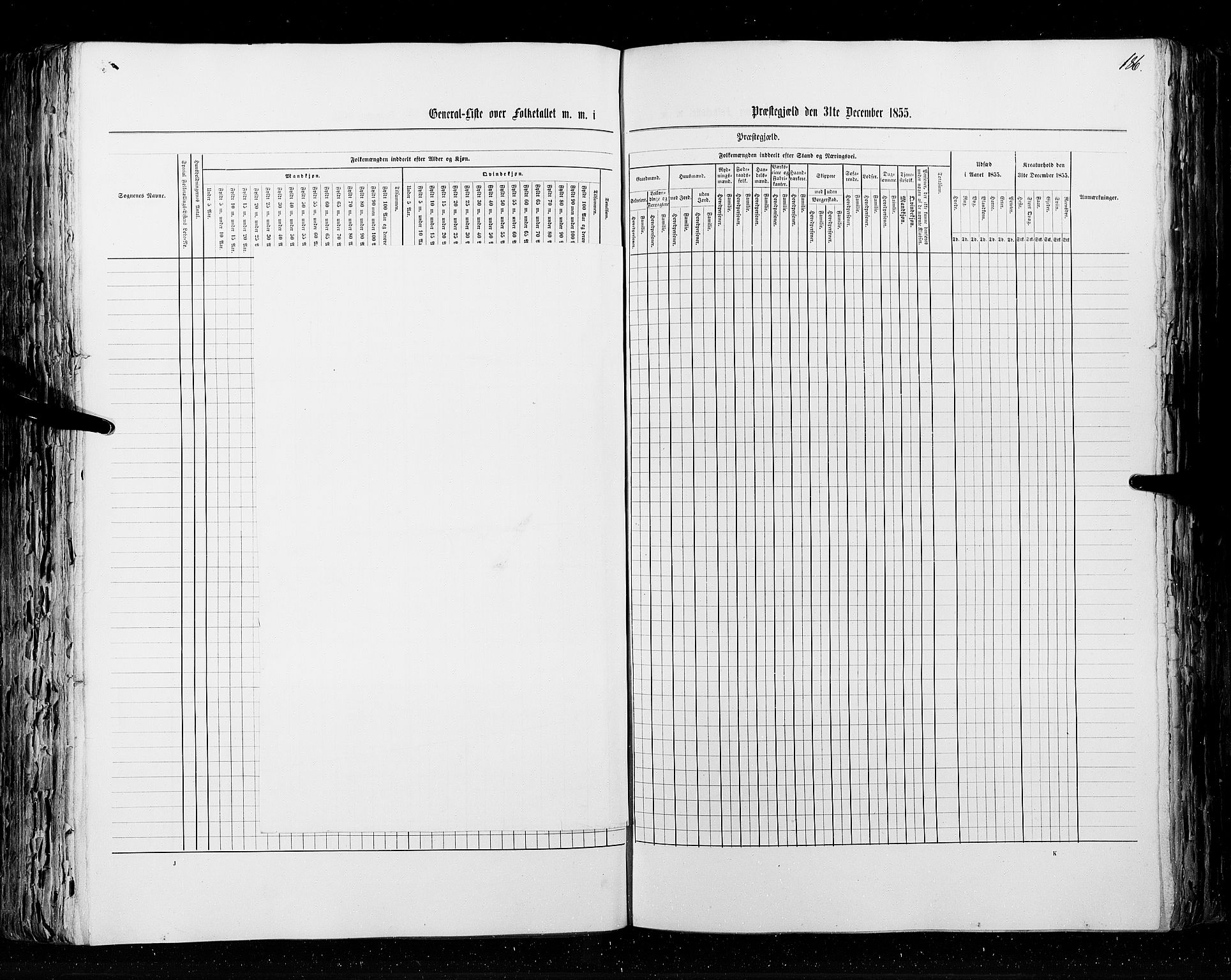 RA, Census 1855, vol. 2: Kristians amt, Buskerud amt og Jarlsberg og Larvik amt, 1855, p. 186