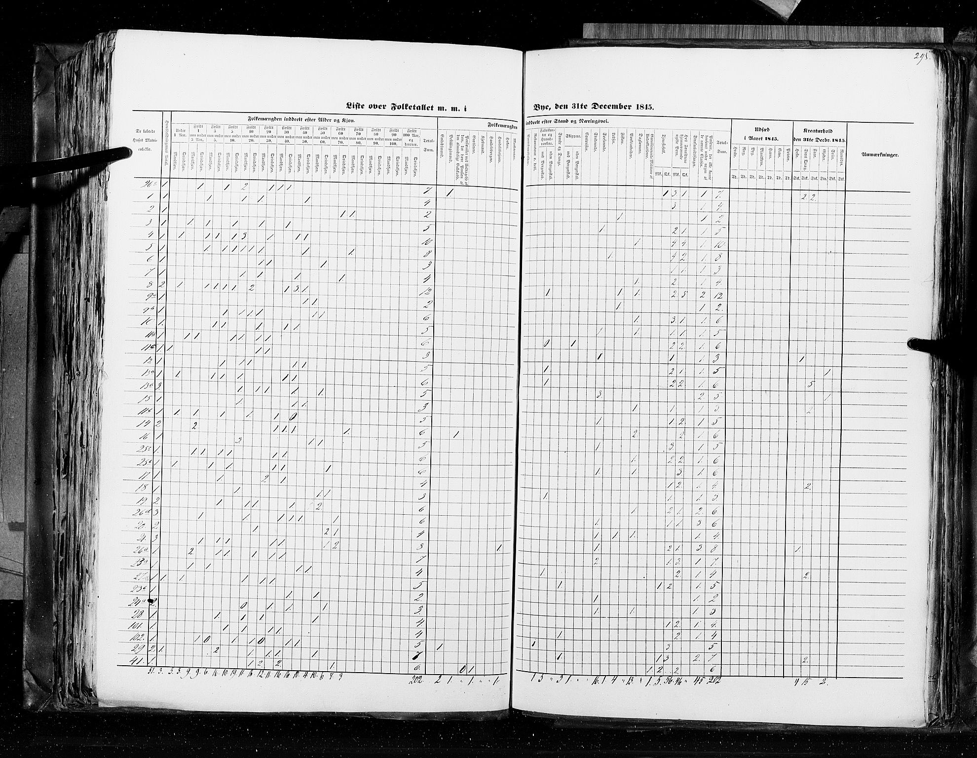 RA, Census 1845, vol. 10: Cities, 1845, p. 295