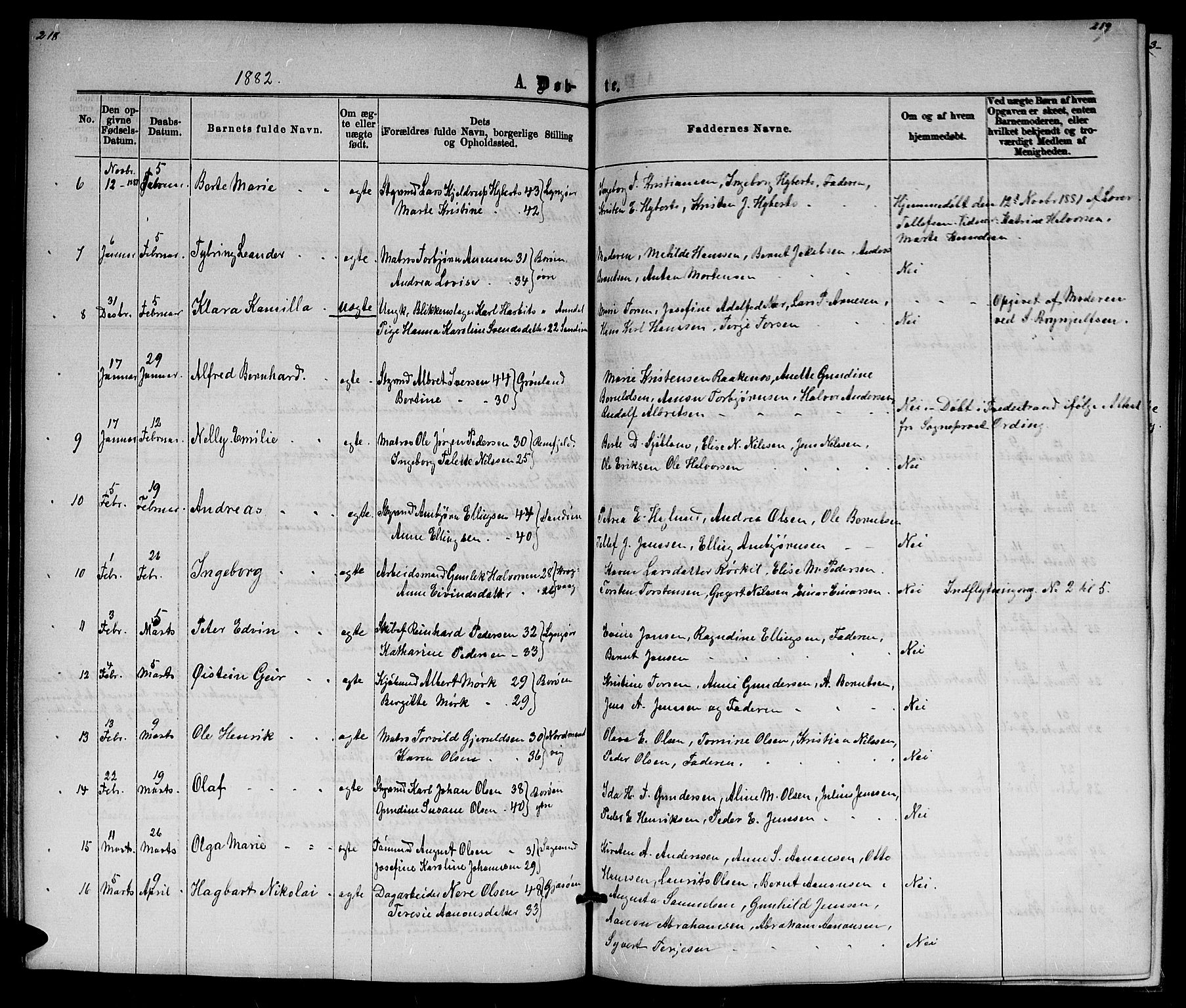 Dypvåg sokneprestkontor, AV/SAK-1111-0007/F/Fb/Fba/L0012: Parish register (copy) no. B 12, 1872-1886, p. 218-219