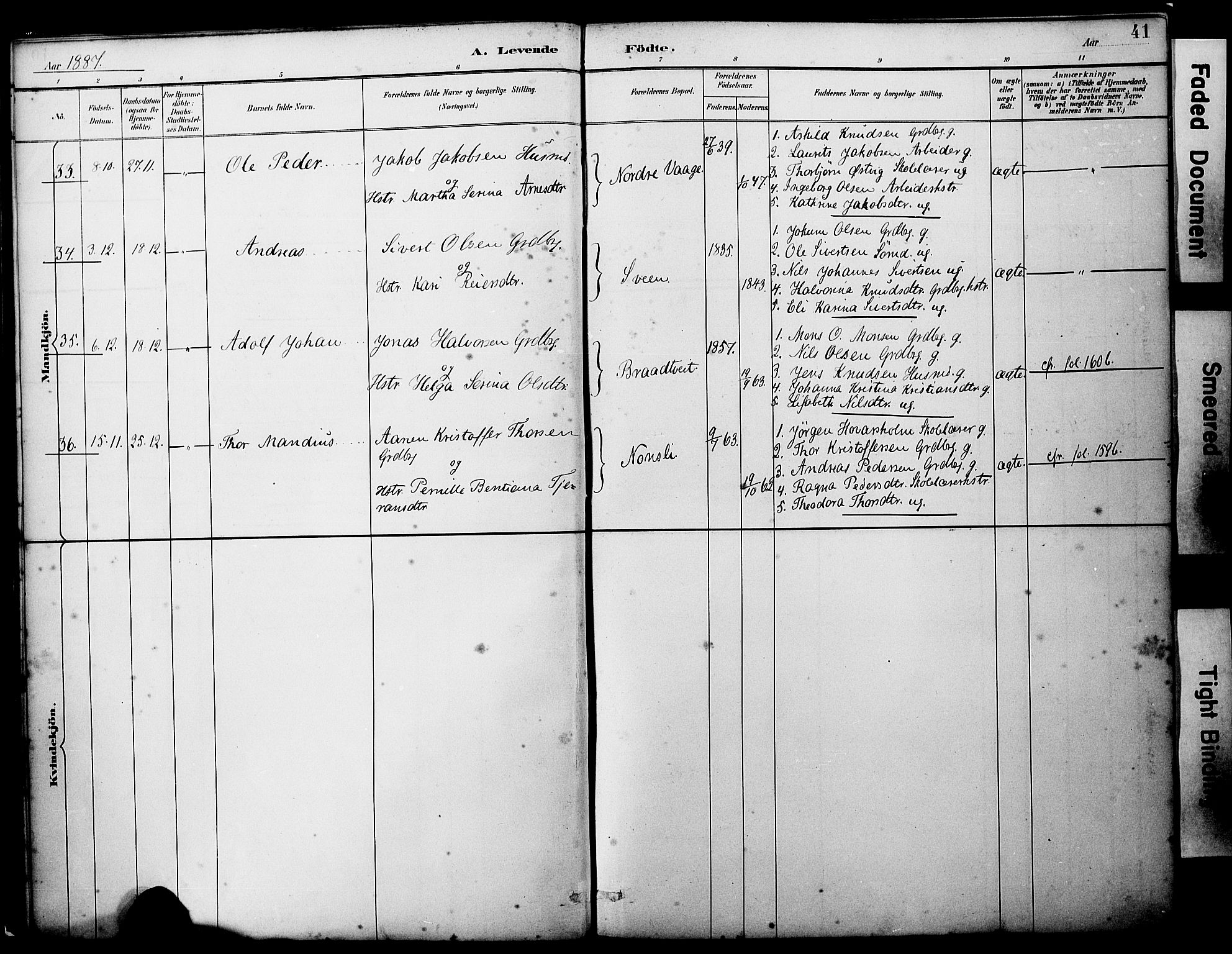 Sveio Sokneprestembete, AV/SAB-A-78501/H/Haa: Parish register (official) no. B 2, 1883-1894, p. 41