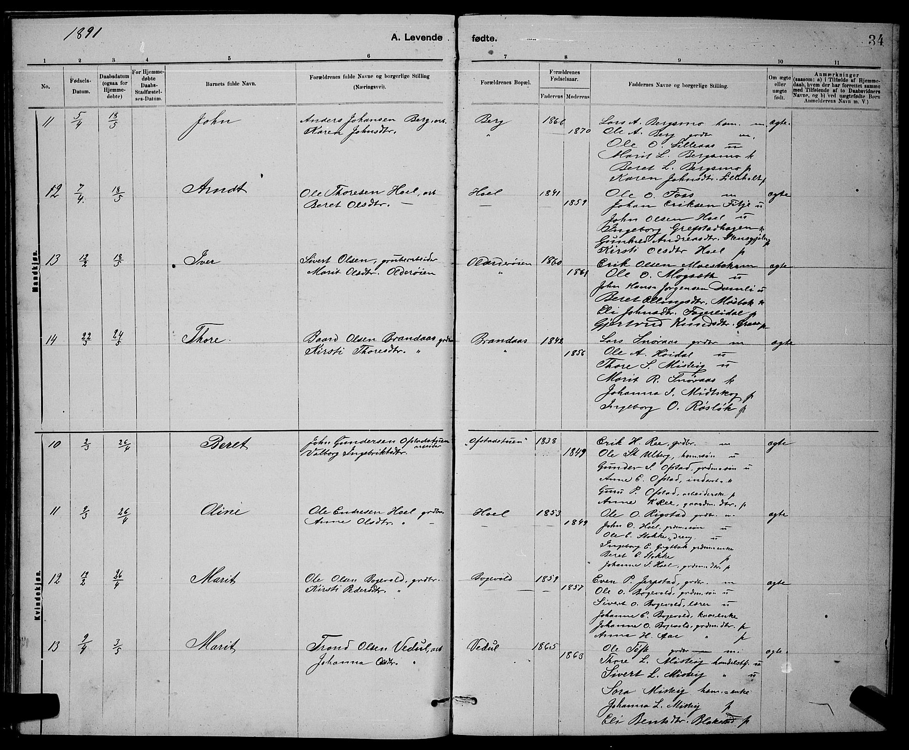 Ministerialprotokoller, klokkerbøker og fødselsregistre - Sør-Trøndelag, SAT/A-1456/672/L0863: Parish register (copy) no. 672C02, 1888-1901, p. 34
