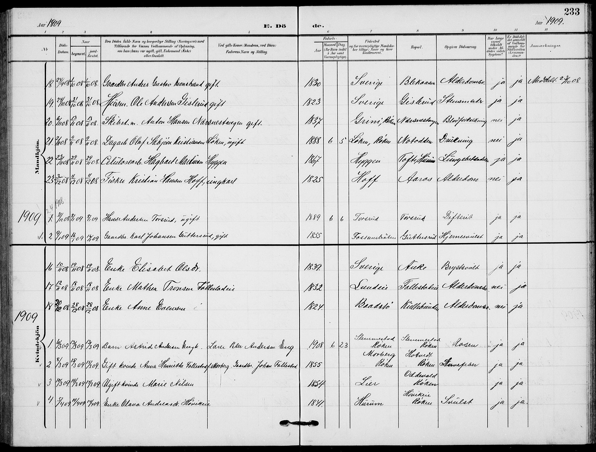 Røyken kirkebøker, AV/SAKO-A-241/G/Ga/L0005: Parish register (copy) no. 5, 1903-1918, p. 233