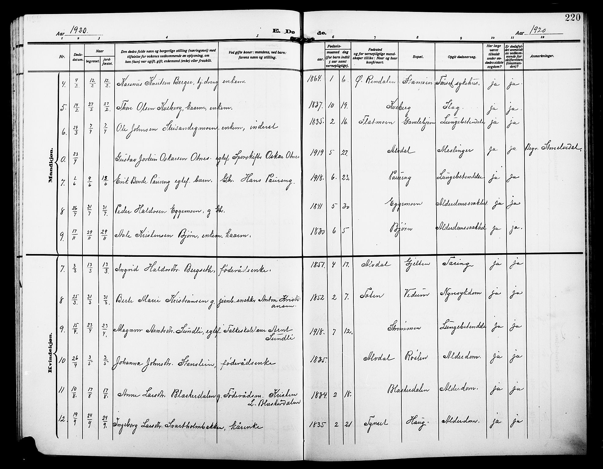 Alvdal prestekontor, AV/SAH-PREST-060/H/Ha/Hab/L0005: Parish register (copy) no. 5, 1908-1923, p. 220