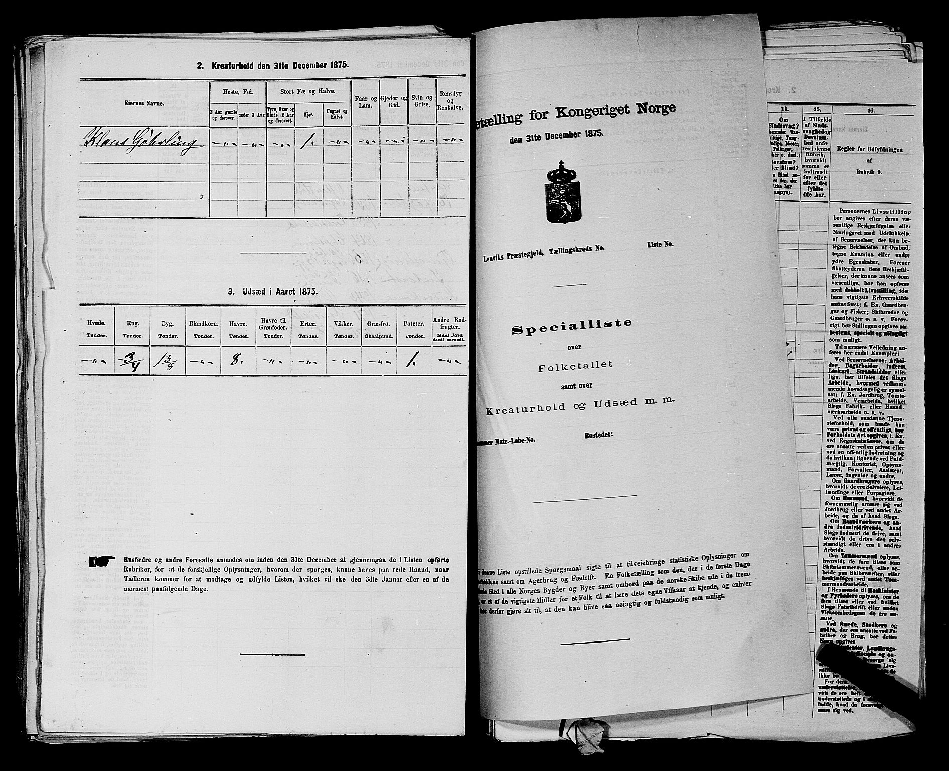 RA, 1875 census for 0113P Borge, 1875, p. 189