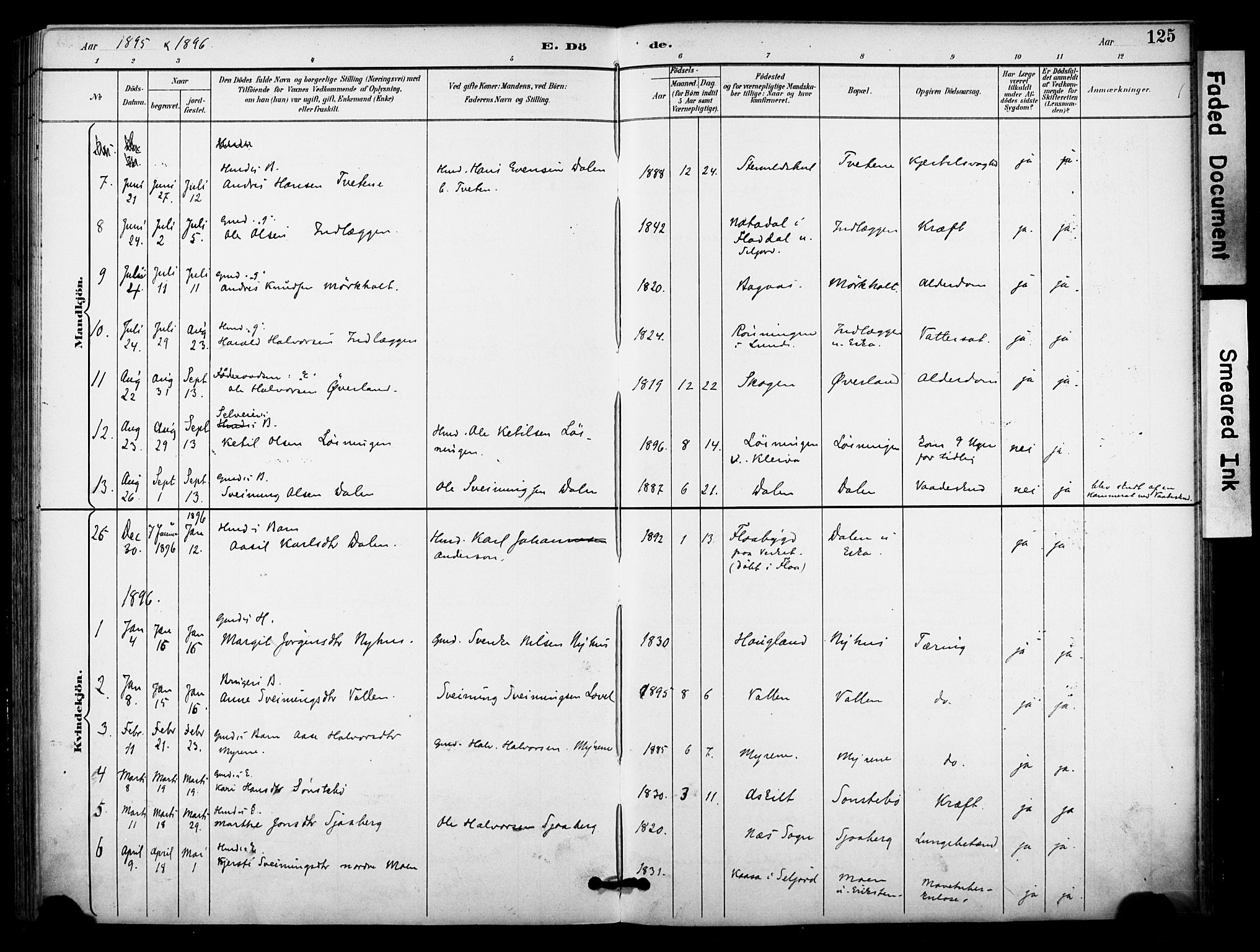 Bø kirkebøker, AV/SAKO-A-257/F/Fa/L0011: Parish register (official) no. 11, 1892-1900, p. 125