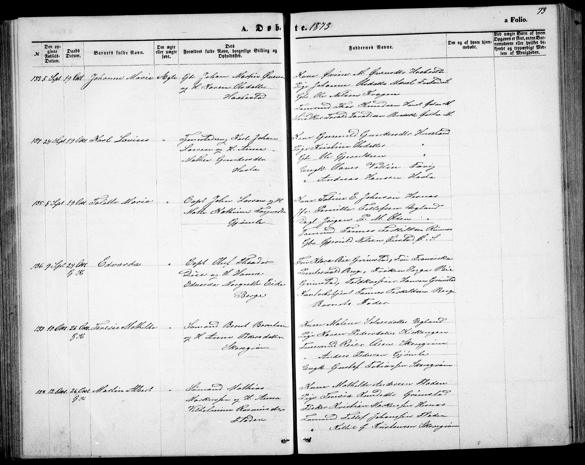 Fjære sokneprestkontor, AV/SAK-1111-0011/F/Fb/L0010: Parish register (copy) no. B 10, 1871-1880, p. 73