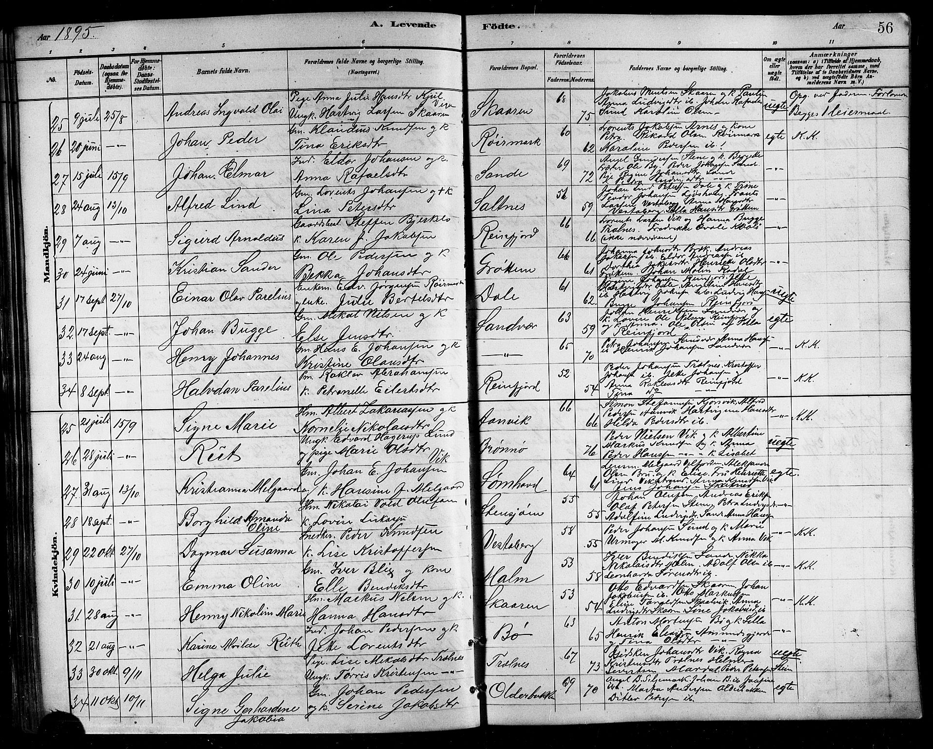Ministerialprotokoller, klokkerbøker og fødselsregistre - Nordland, AV/SAT-A-1459/812/L0188: Parish register (copy) no. 812C06, 1884-1912, p. 56