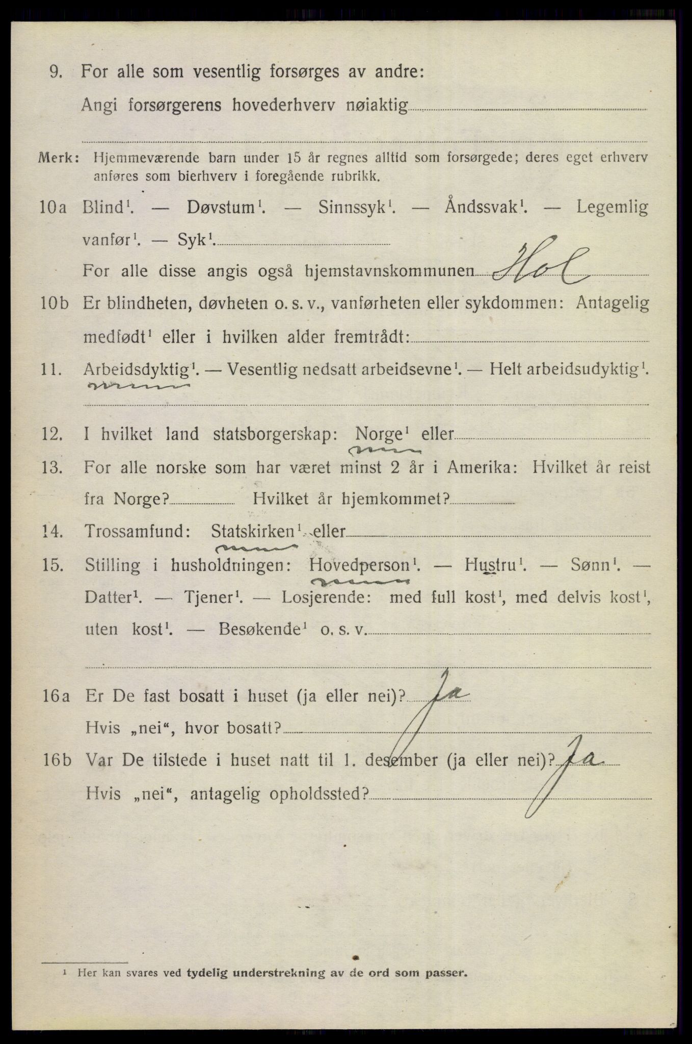 SAKO, 1920 census for Hol (Buskerud), 1920, p. 3778