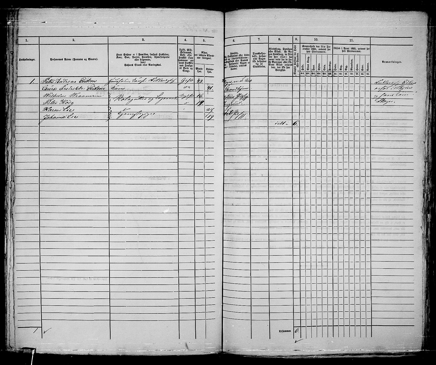 RA, 1865 census for Kristiania, 1865, p. 5252