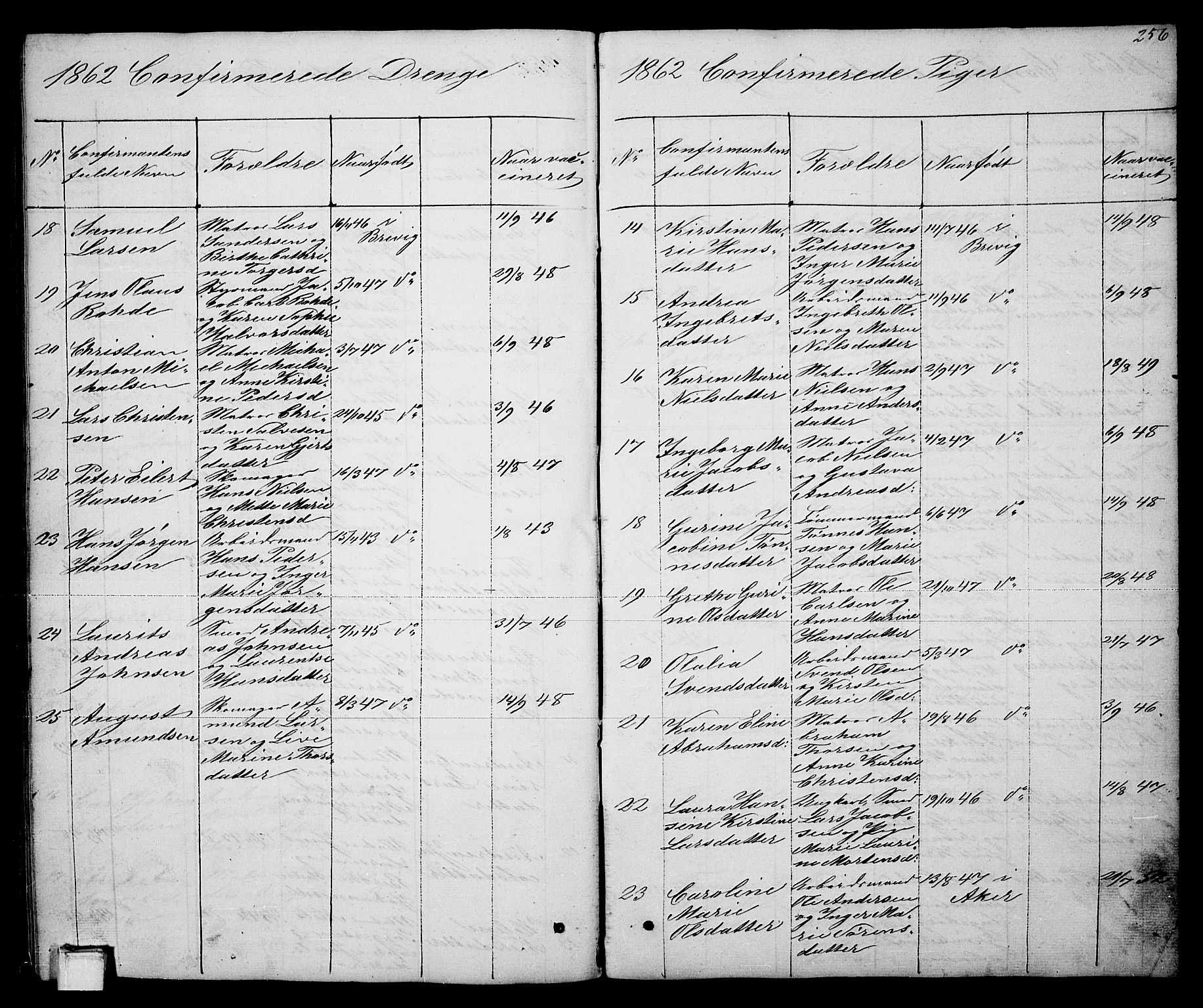 Brevik kirkebøker, AV/SAKO-A-255/G/Ga/L0002: Parish register (copy) no. 2, 1846-1865, p. 256