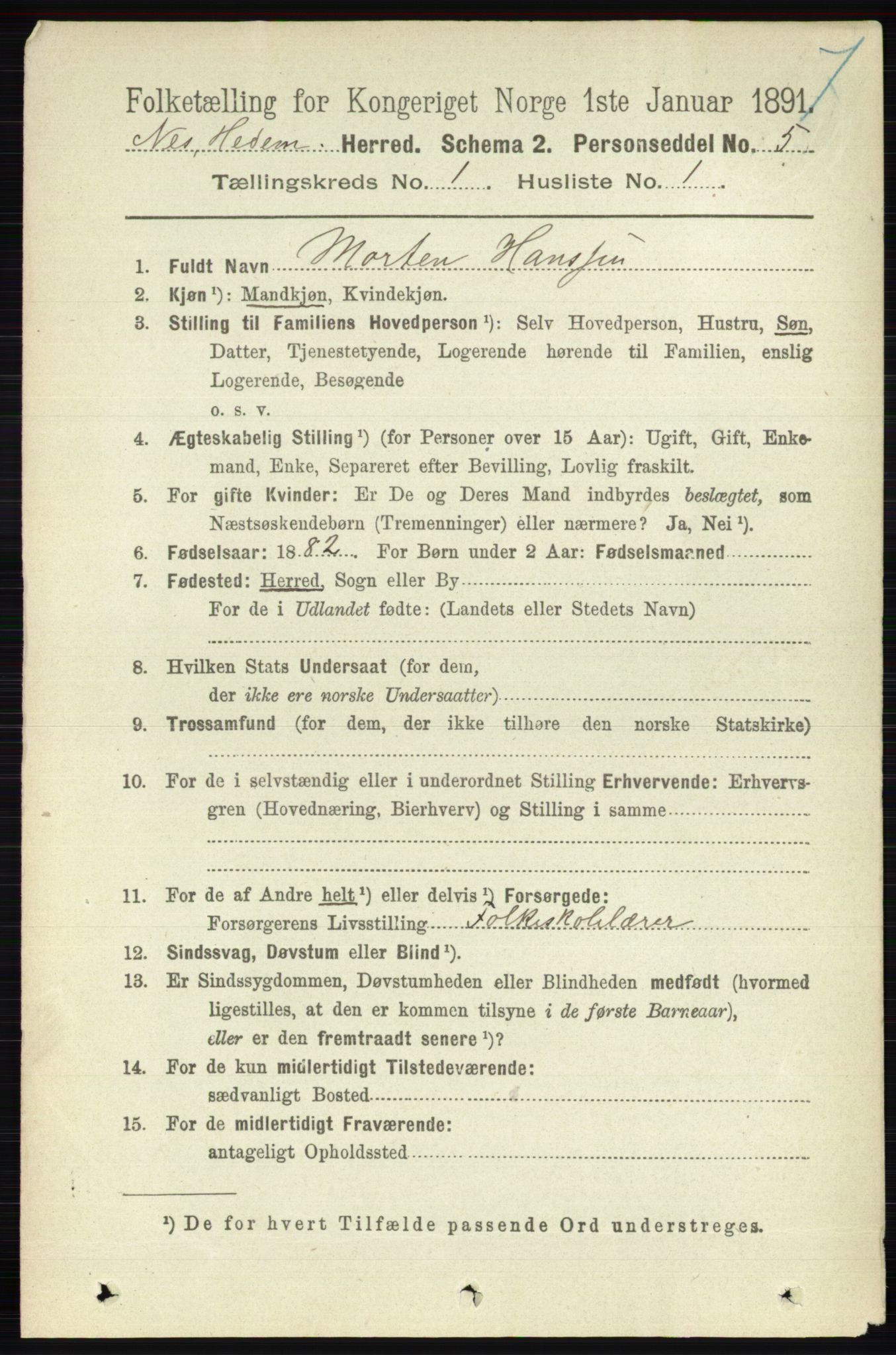 RA, 1891 census for 0411 Nes, 1891, p. 163