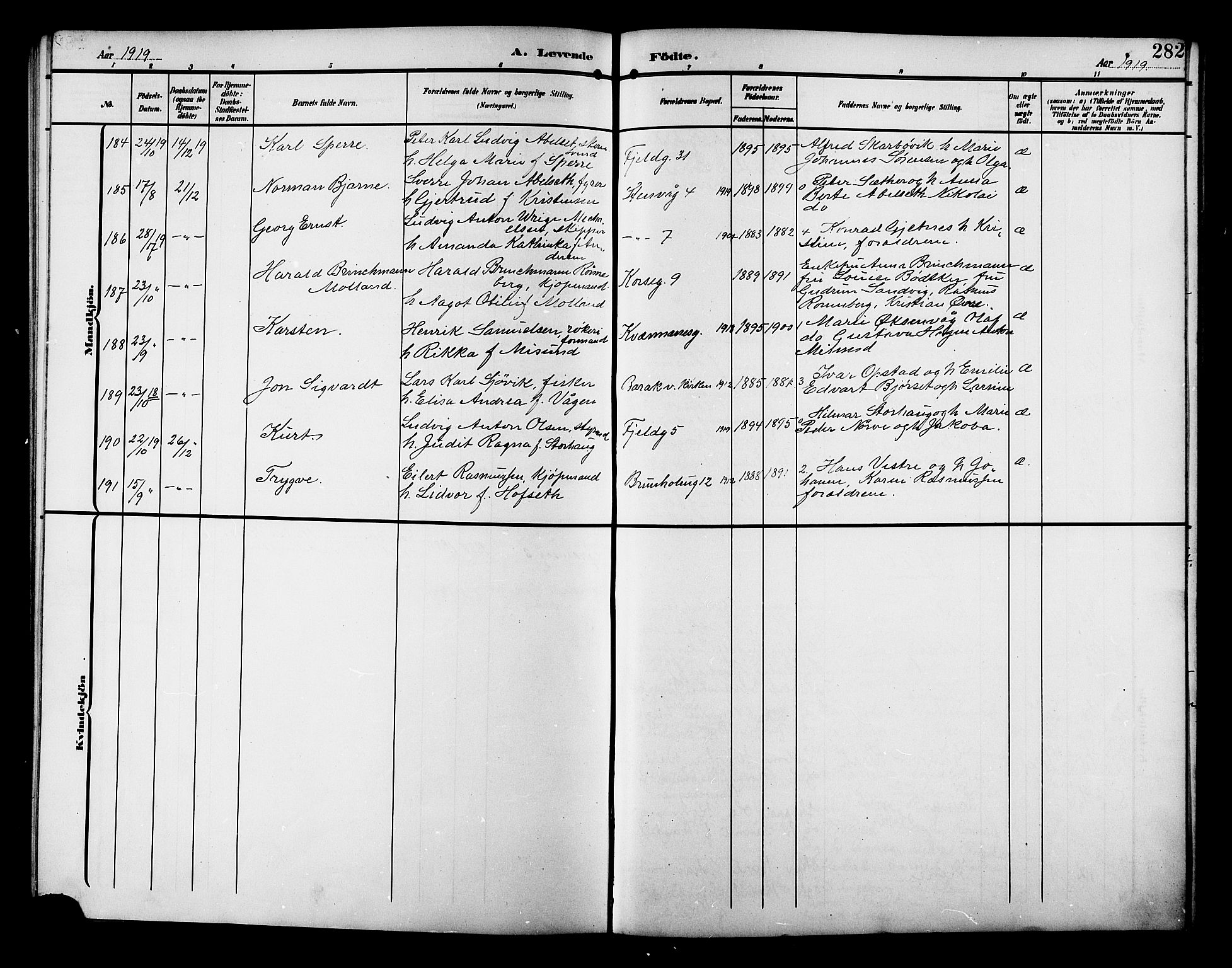 Ministerialprotokoller, klokkerbøker og fødselsregistre - Møre og Romsdal, AV/SAT-A-1454/529/L0471: Parish register (copy) no. 529C08, 1909-1921, p. 282