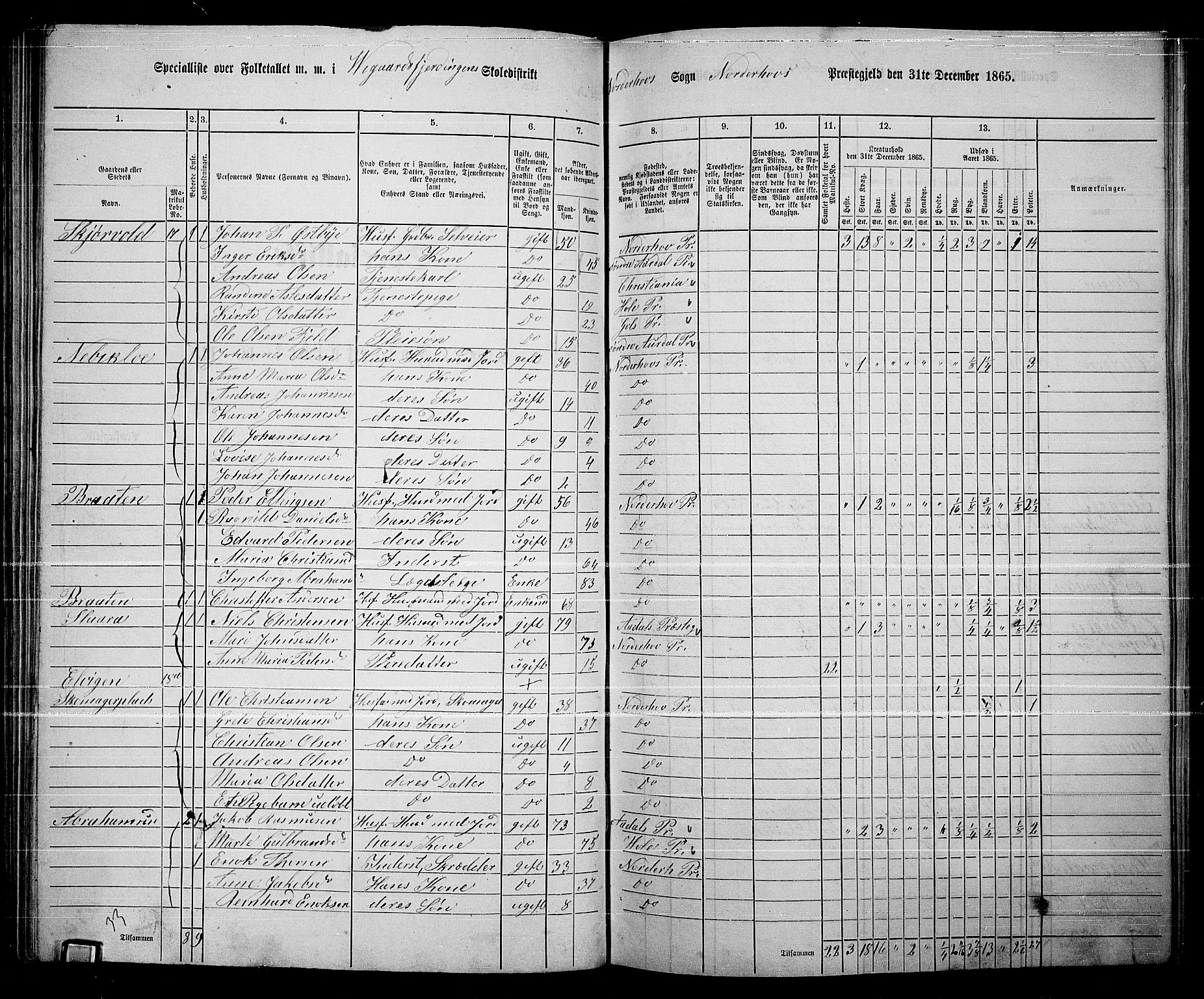 RA, 1865 census for Norderhov/Norderhov, Haug og Lunder, 1865, p. 115