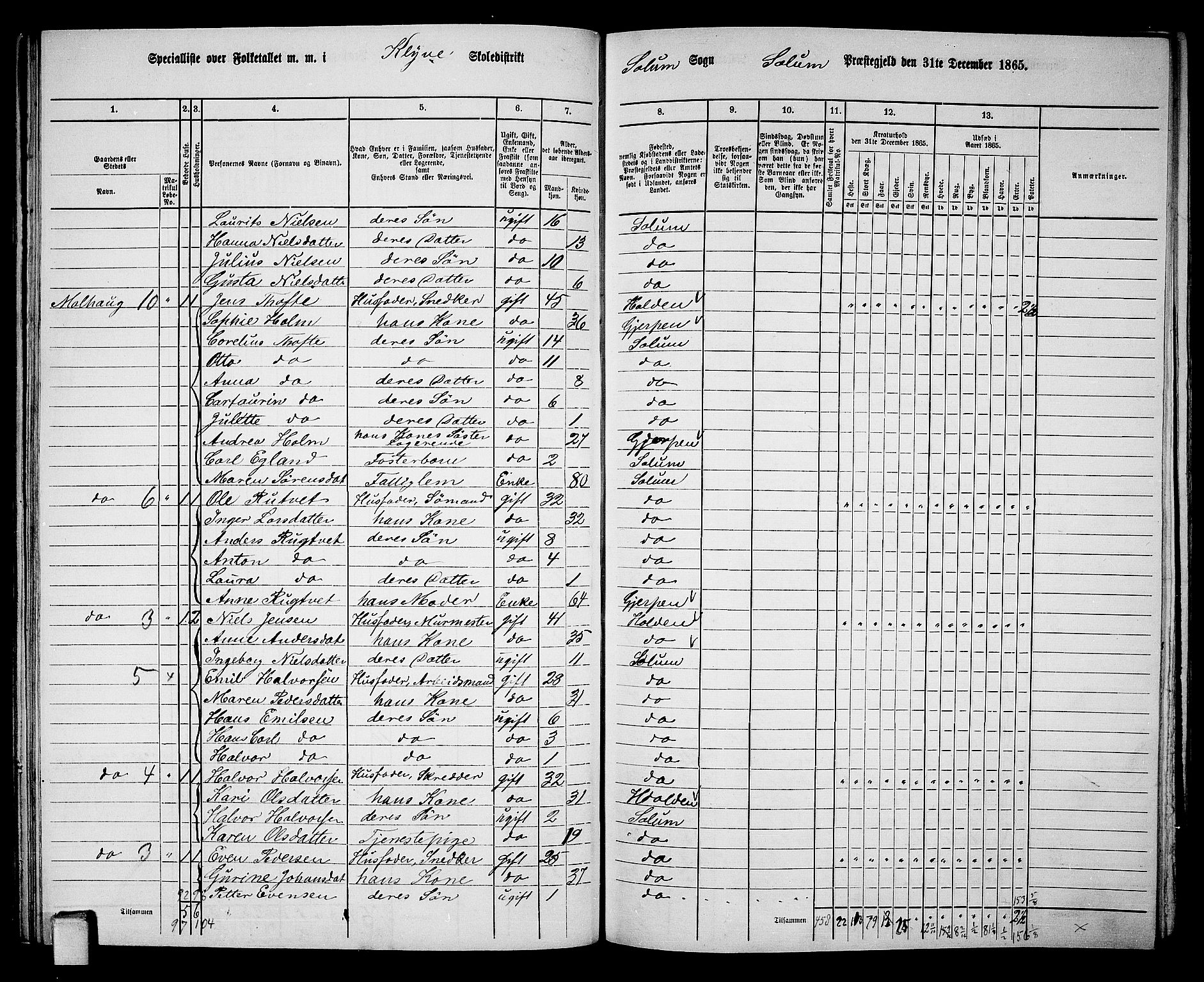 RA, 1865 census for Solum, 1865, p. 87