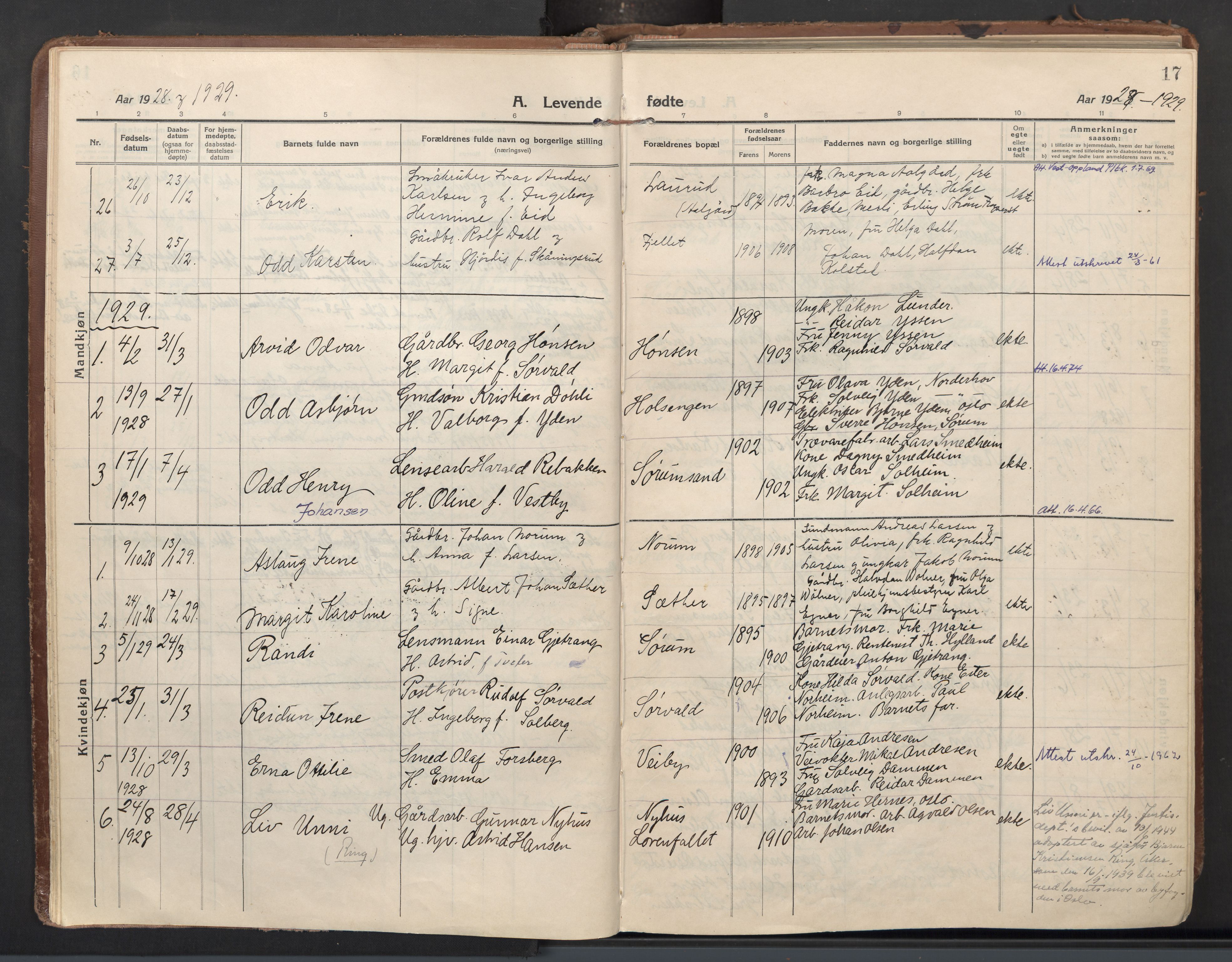 Sørum prestekontor Kirkebøker, AV/SAO-A-10303/F/Fa/L0011: Parish register (official) no. I 11, 1915-1931, p. 17