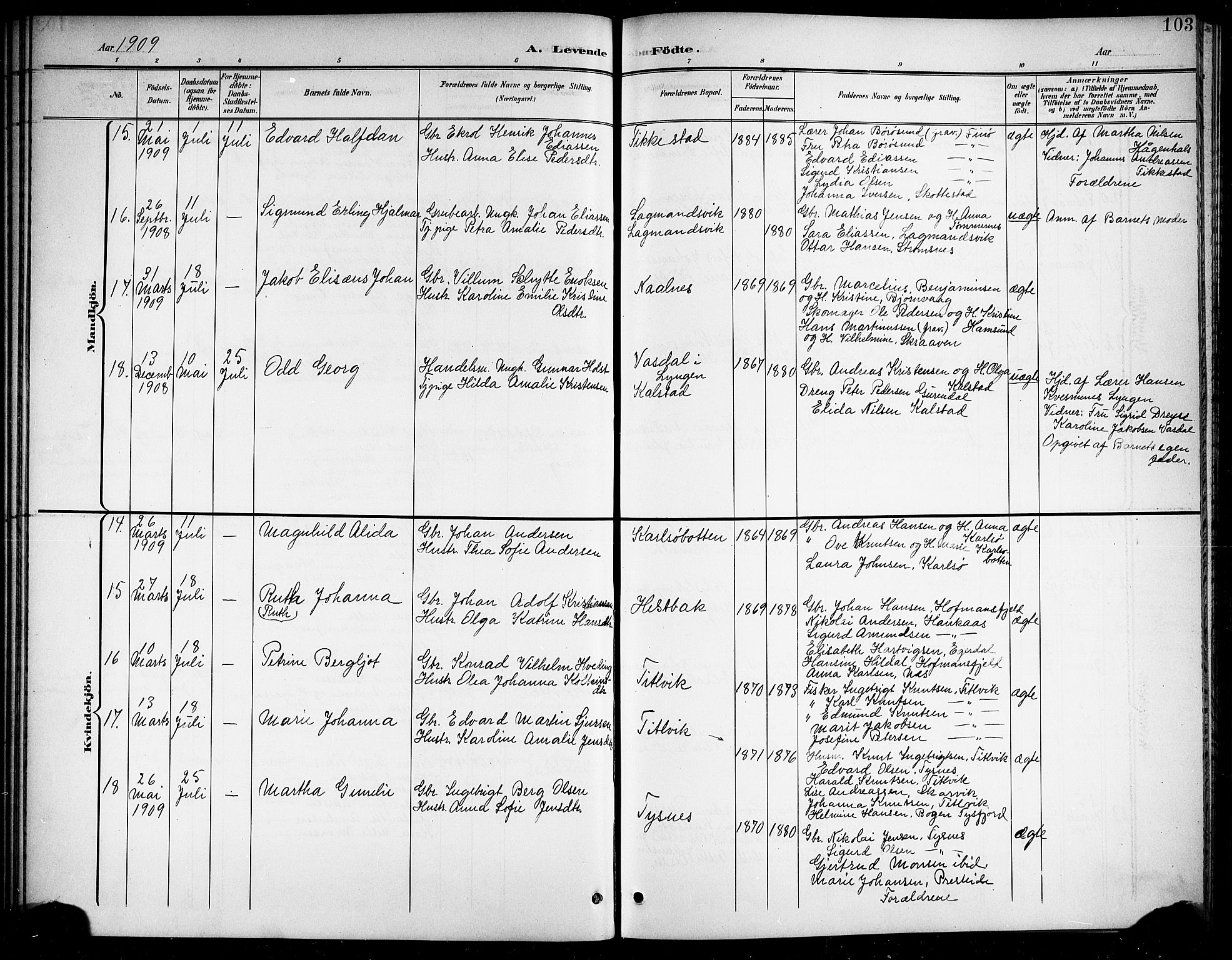 Ministerialprotokoller, klokkerbøker og fødselsregistre - Nordland, AV/SAT-A-1459/859/L0860: Parish register (copy) no. 859C06, 1899-1909, p. 103