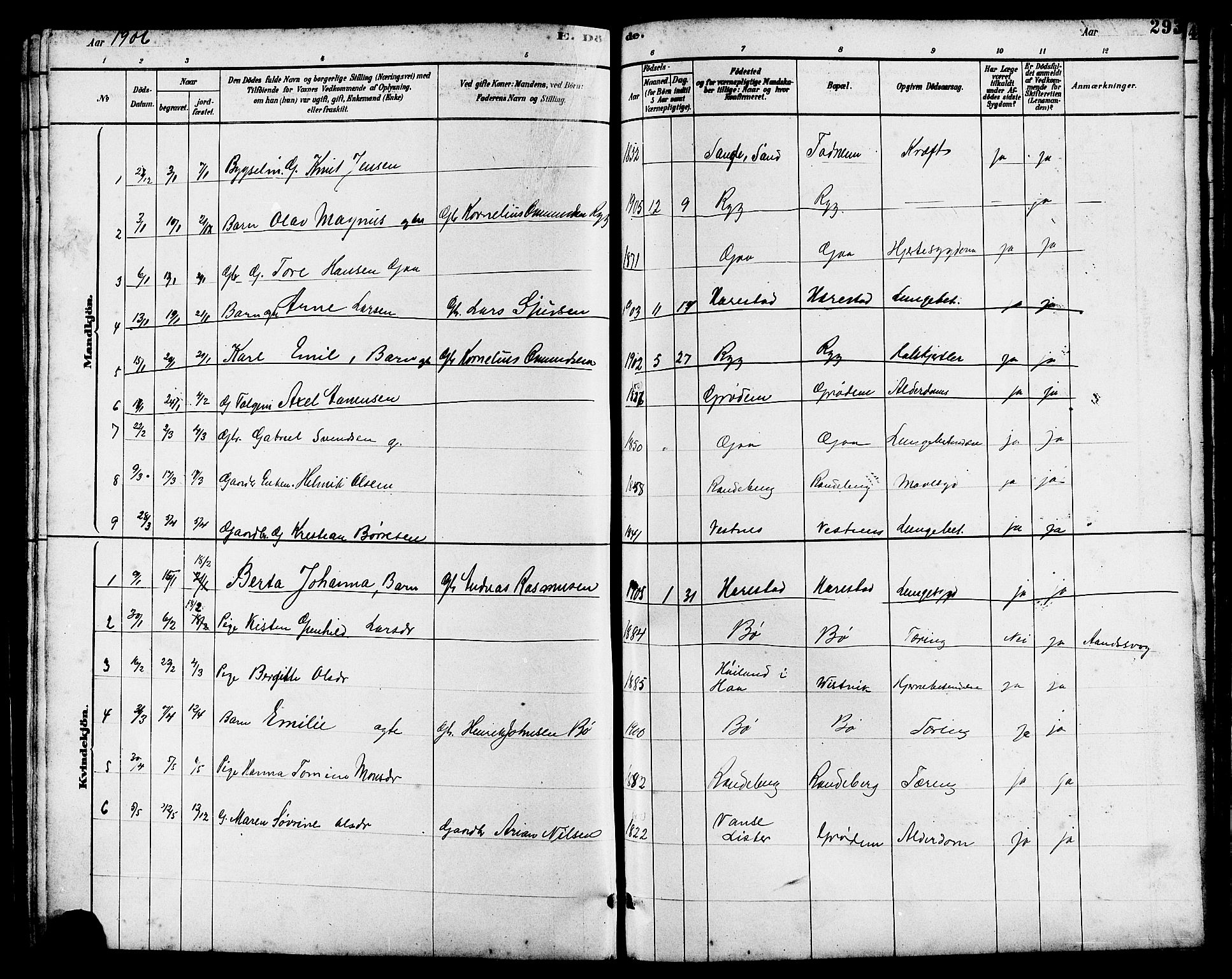 Hetland sokneprestkontor, SAST/A-101826/30/30BB/L0006: Parish register (copy) no. B 6, 1878-1921, p. 293