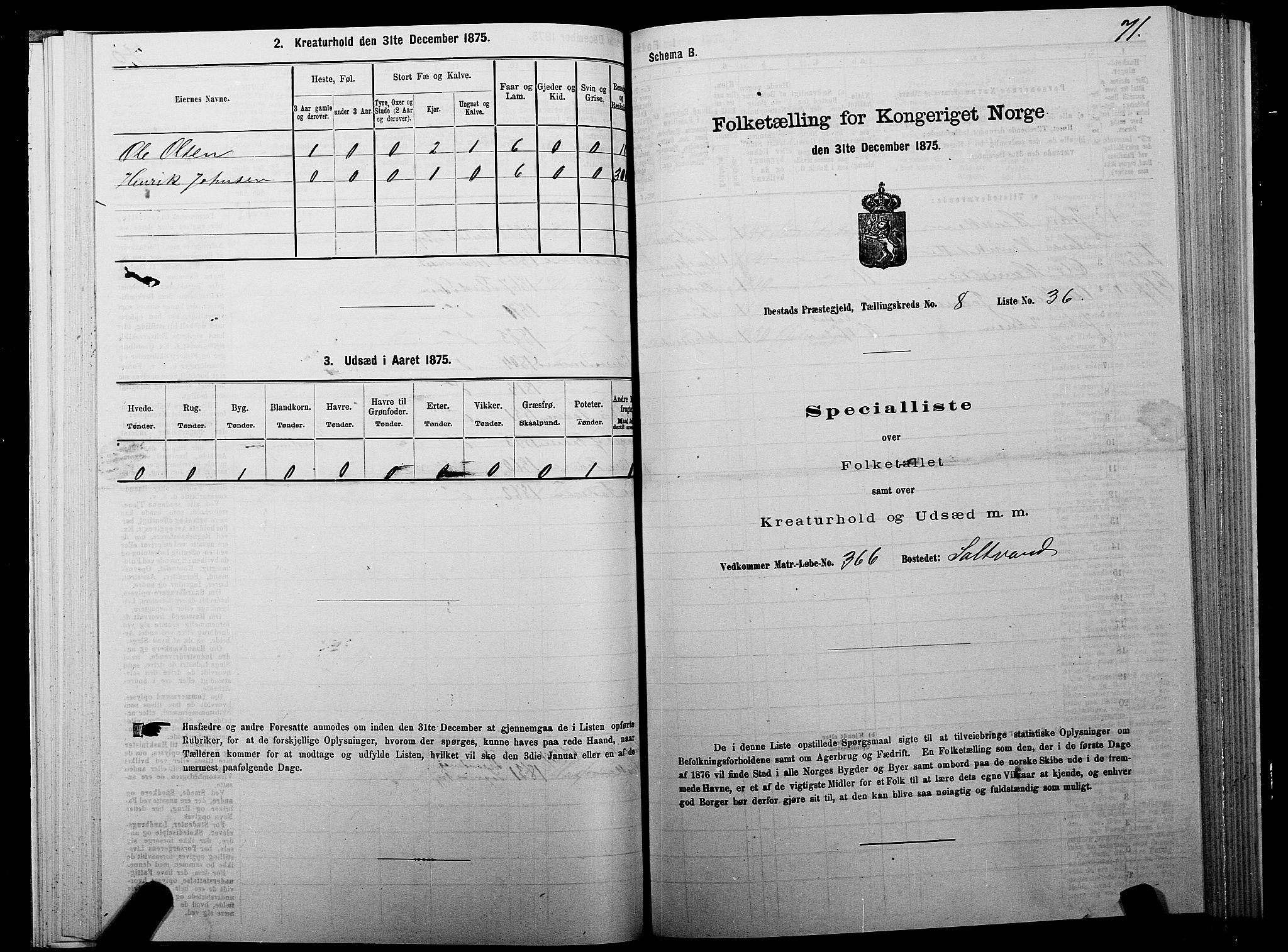 SATØ, 1875 census for 1917P Ibestad, 1875, p. 5071