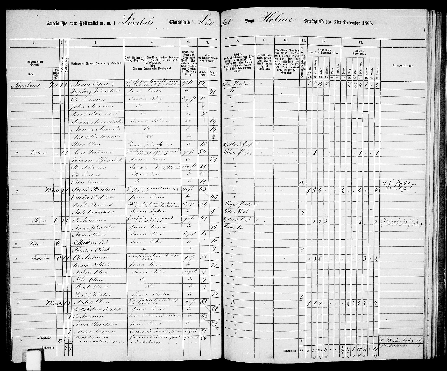 RA, 1865 census for Holum, 1865, p. 138