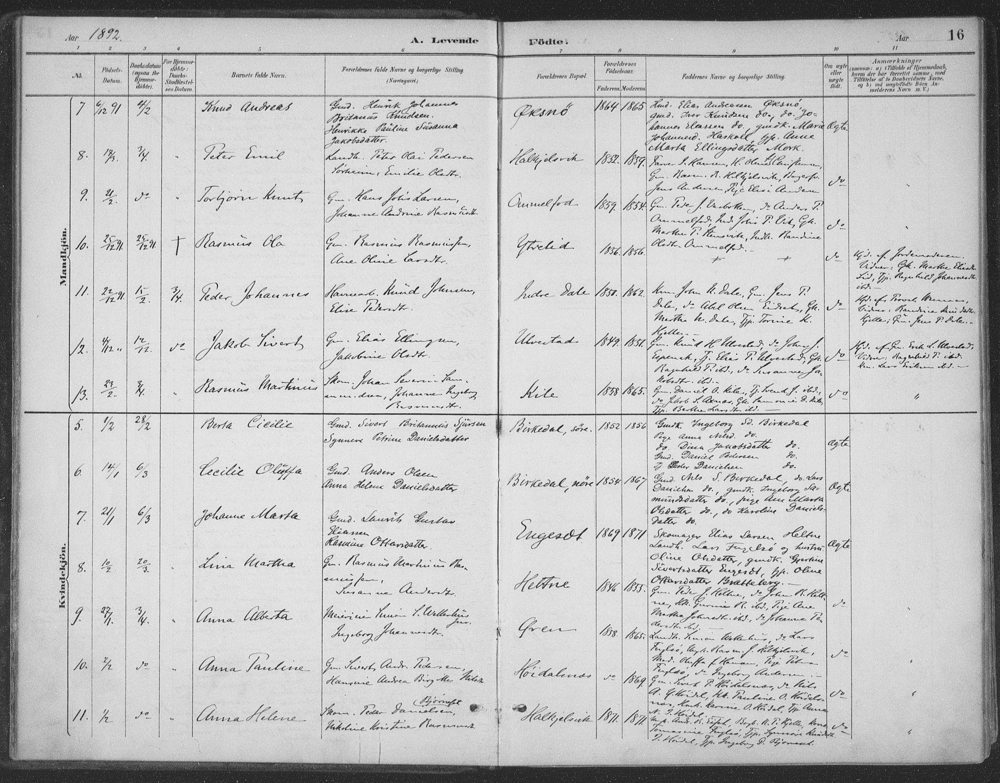 Ministerialprotokoller, klokkerbøker og fødselsregistre - Møre og Romsdal, AV/SAT-A-1454/511/L0142: Parish register (official) no. 511A09, 1891-1905, p. 16