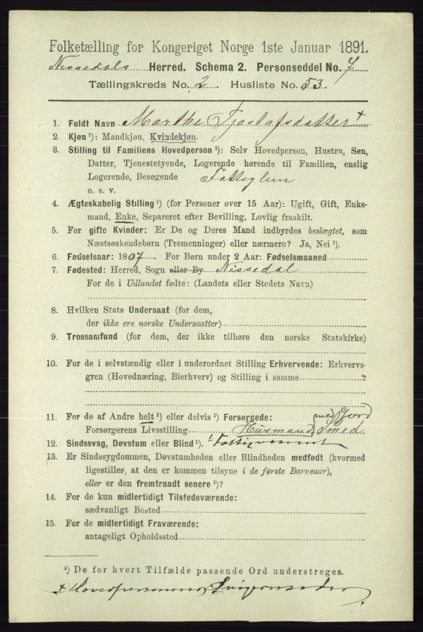 RA, 1891 census for 0830 Nissedal, 1891, p. 590