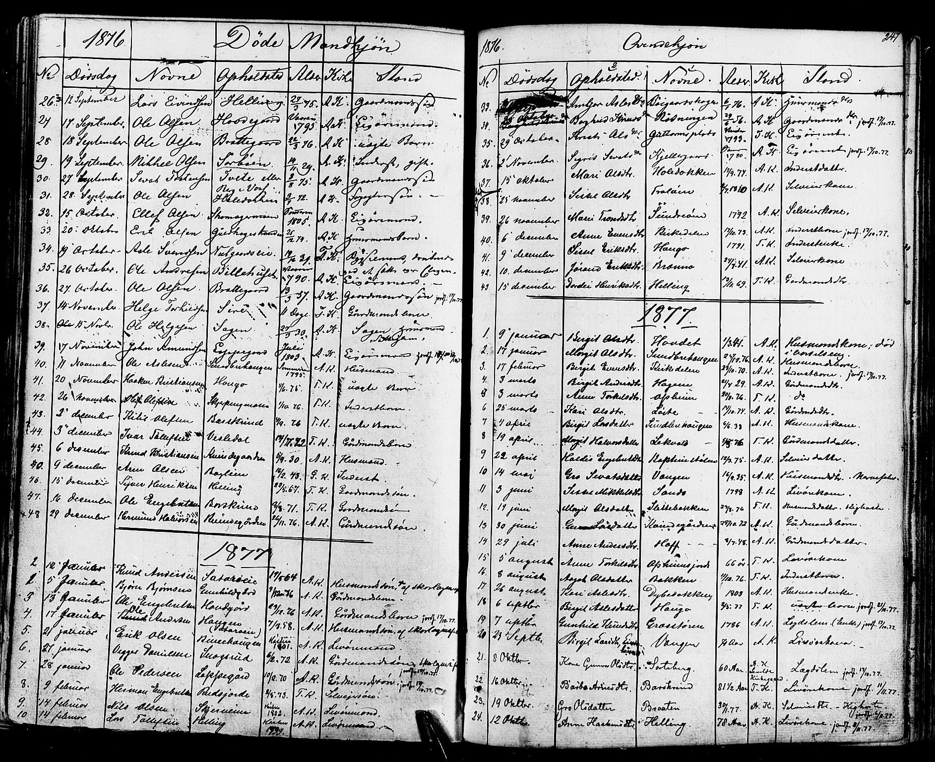 Ål kirkebøker, SAKO/A-249/F/Fa/L0007: Parish register (official) no. I 7, 1865-1881, p. 247