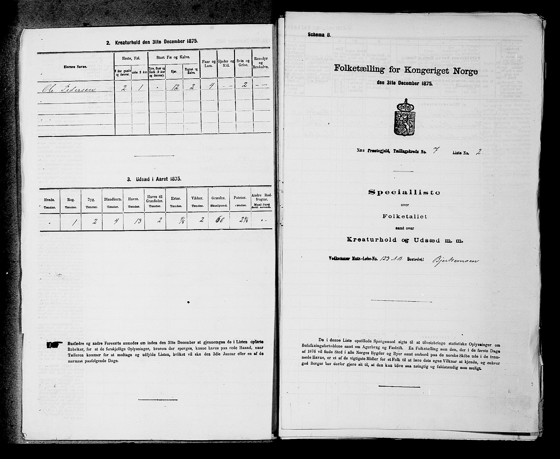 RA, 1875 census for 0236P Nes, 1875, p. 1029