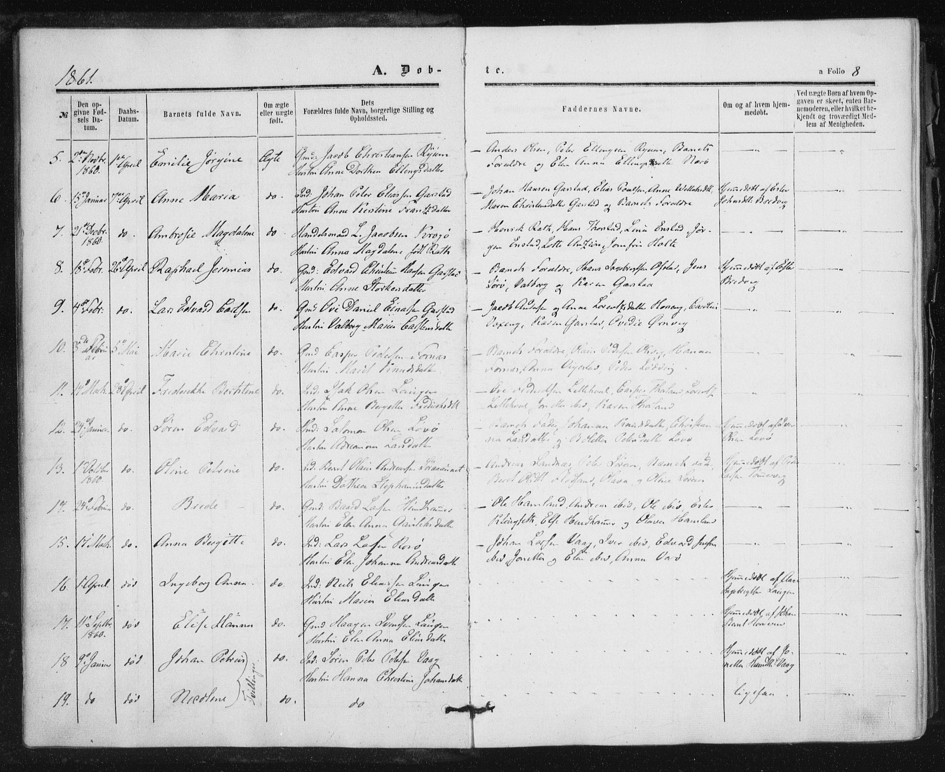 Ministerialprotokoller, klokkerbøker og fødselsregistre - Nord-Trøndelag, SAT/A-1458/784/L0670: Parish register (official) no. 784A05, 1860-1876, p. 8