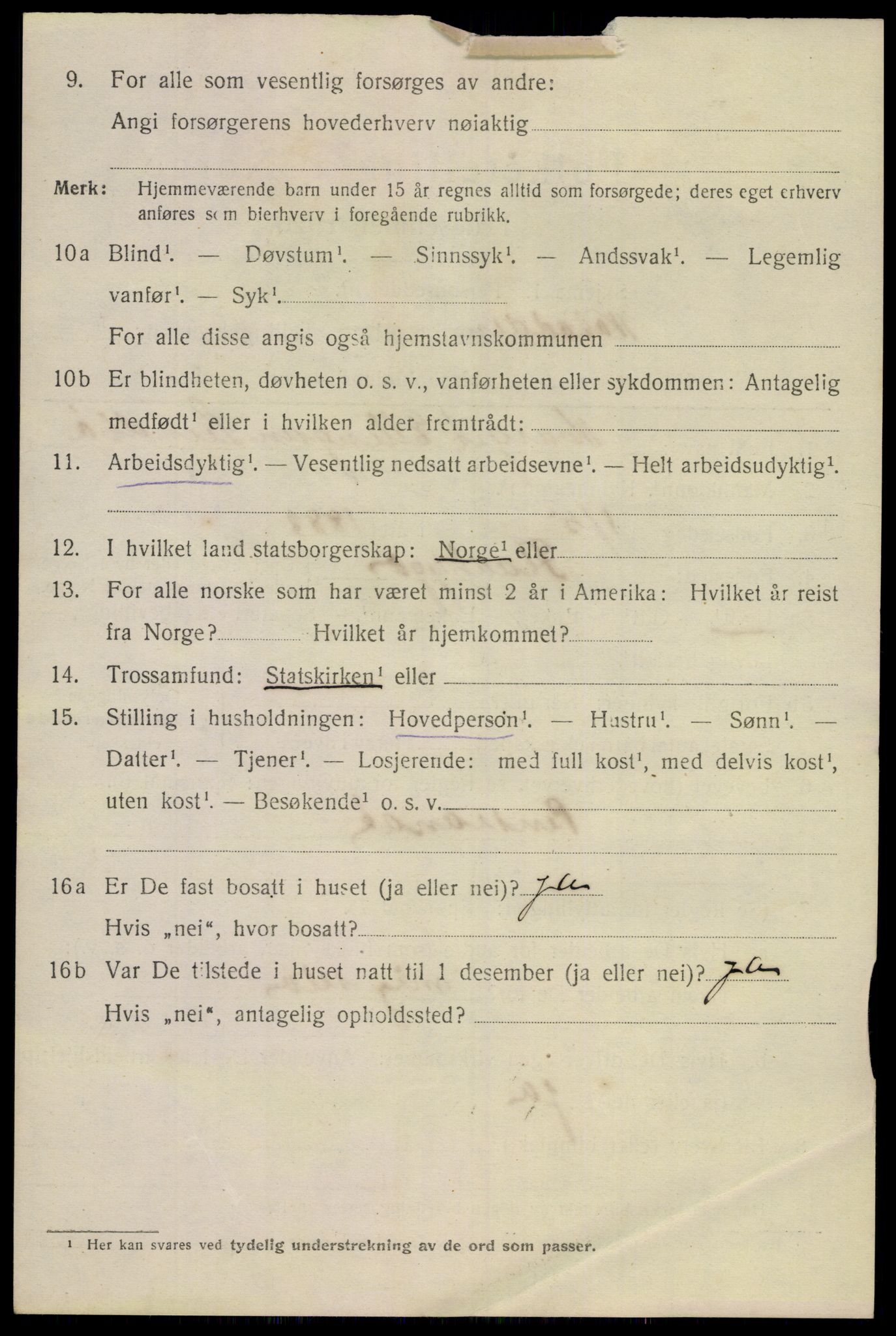 SAKO, 1920 census for Notodden, 1920, p. 8315