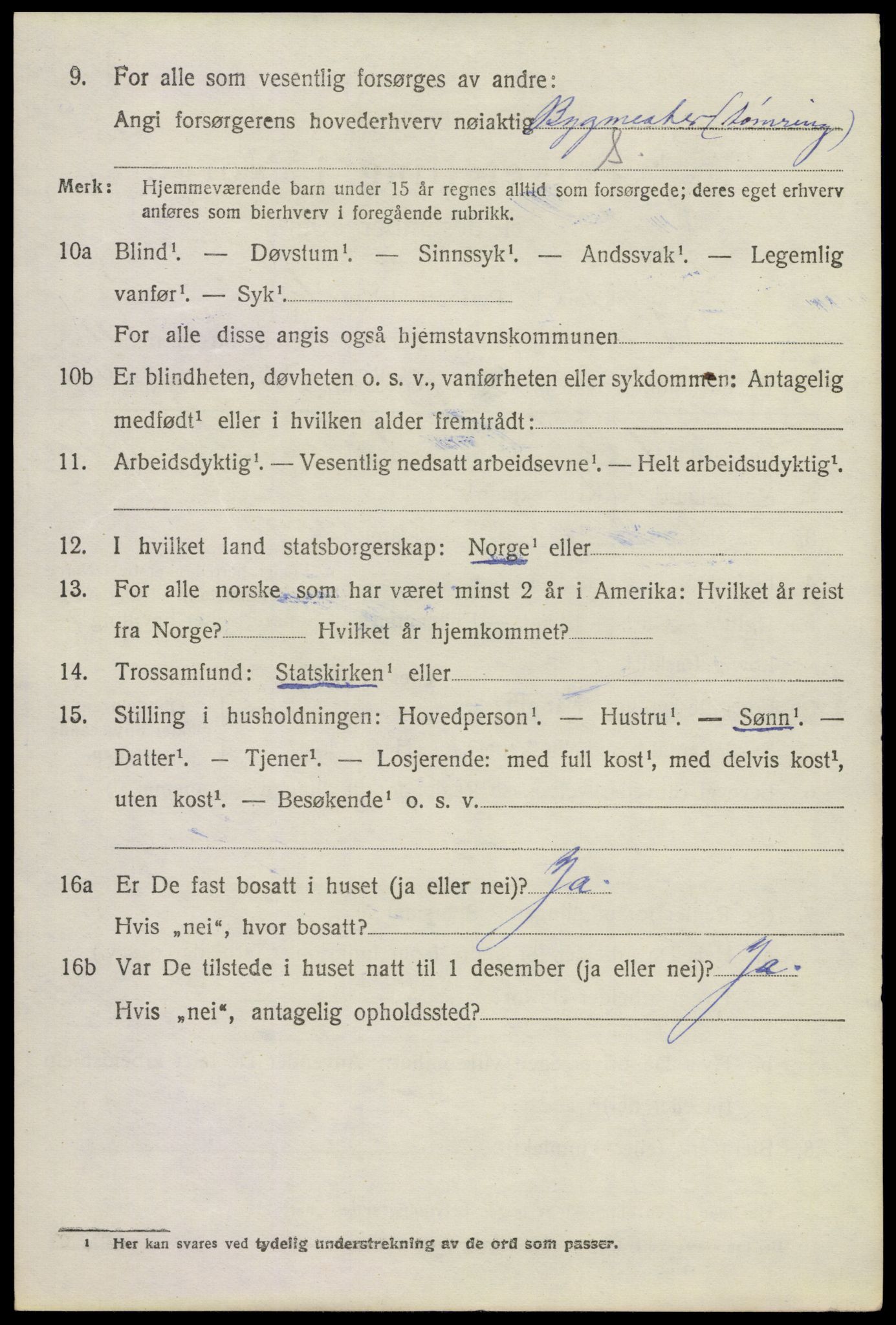 SAKO, 1920 census for Lier, 1920, p. 18495