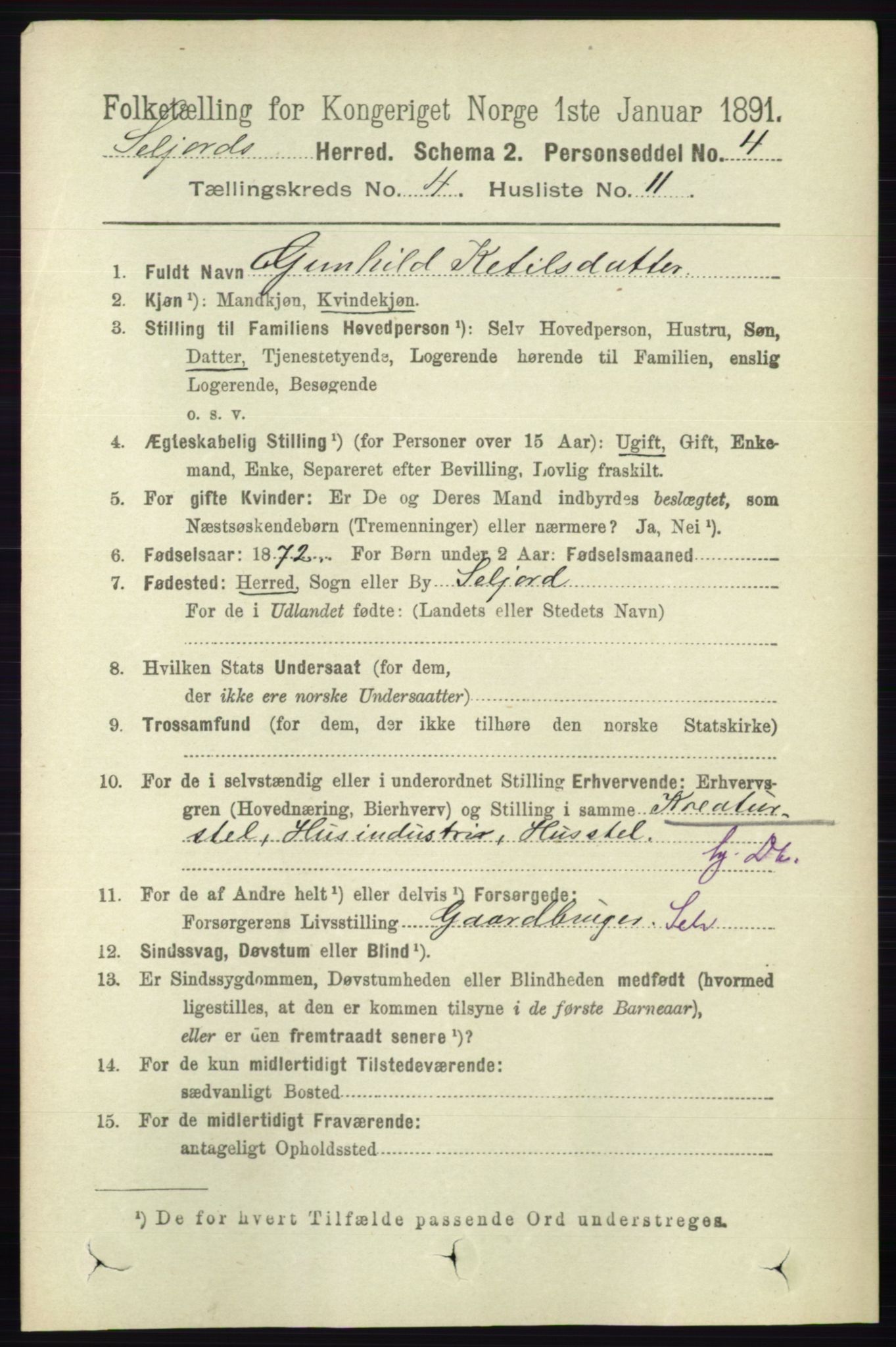 RA, 1891 census for 0828 Seljord, 1891, p. 1349