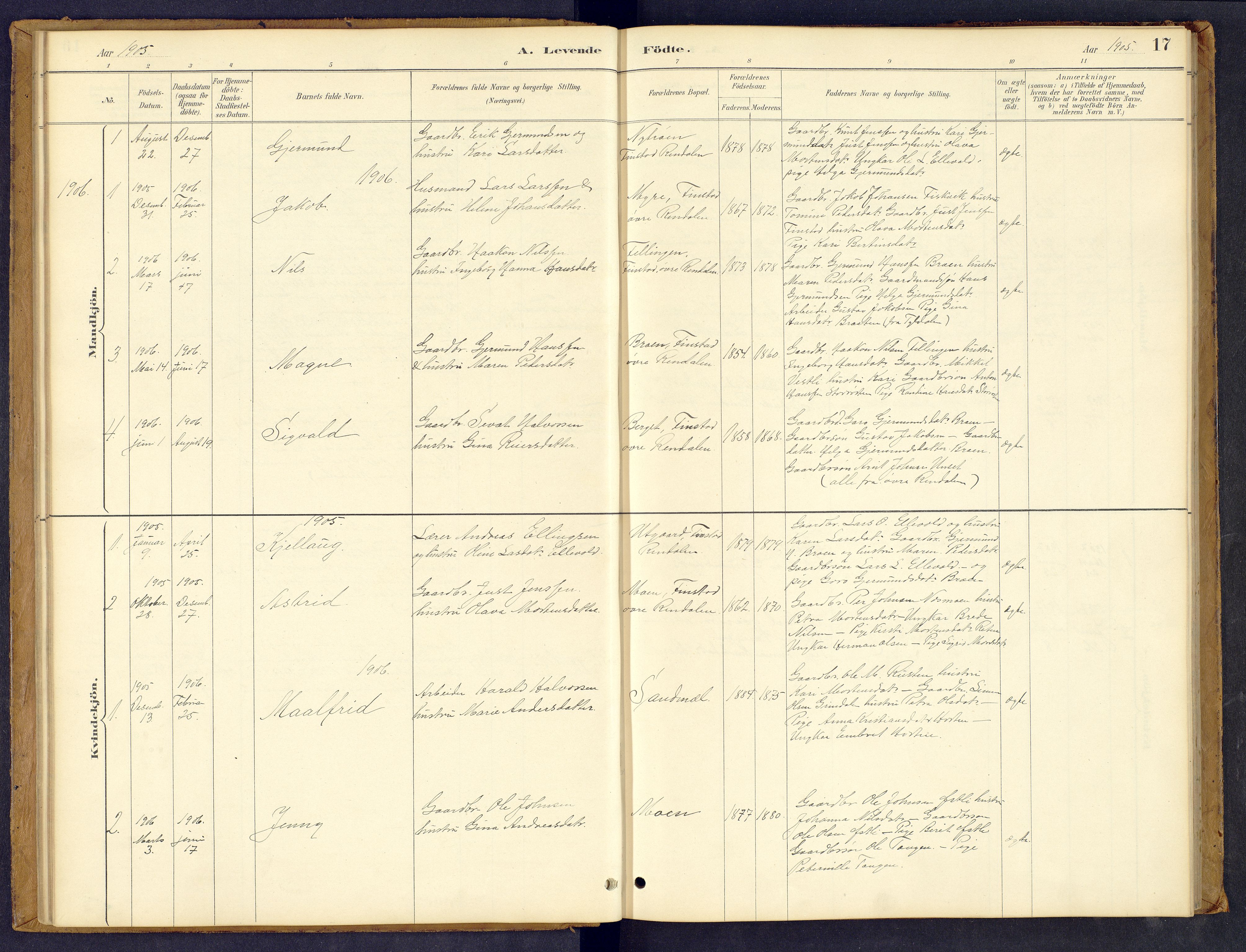 Tynset prestekontor, SAH/PREST-058/H/Ha/Hab/L0008: Parish register (copy) no. 8, 1884-1916, p. 17