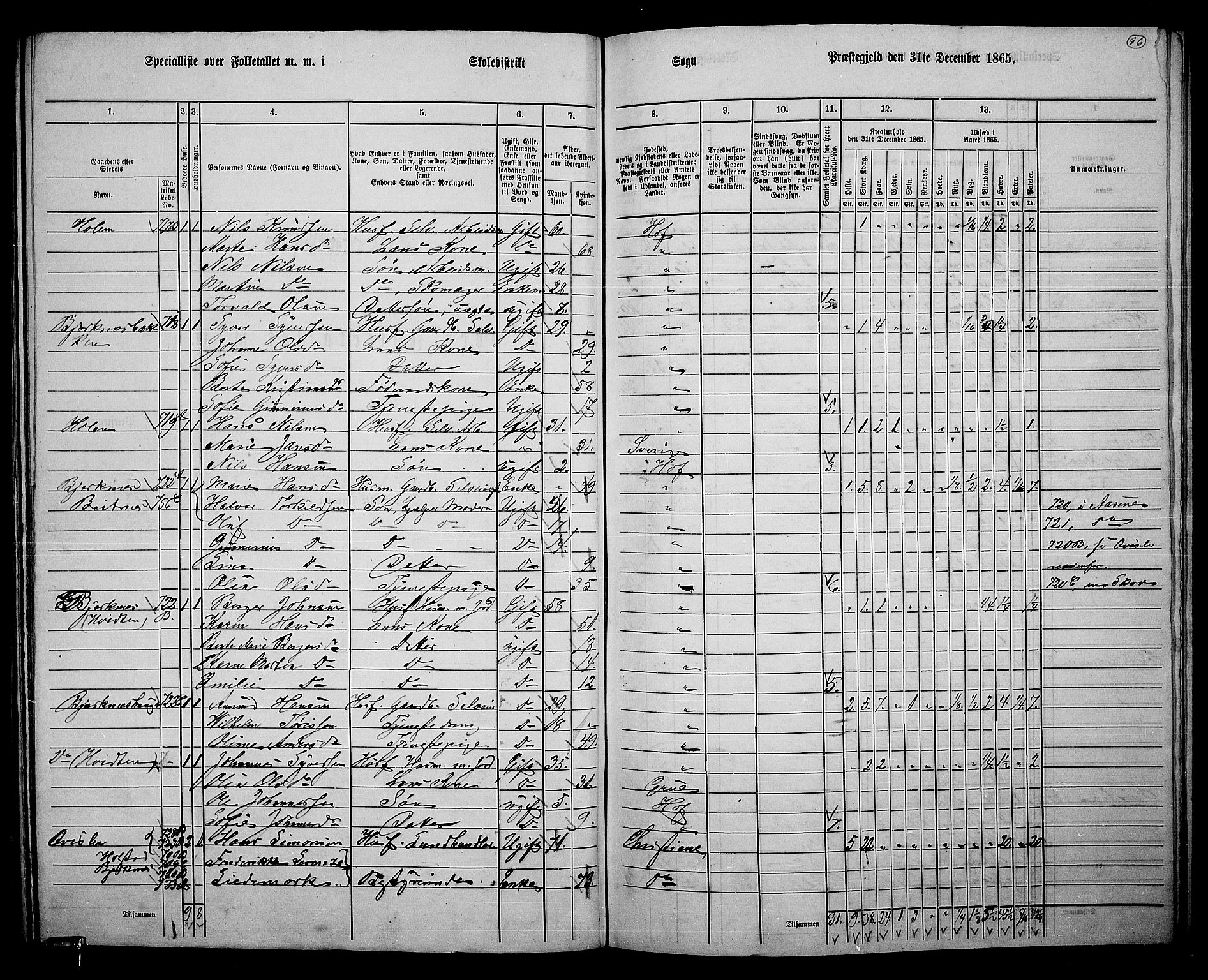 RA, 1865 census for Hof, 1865, p. 92