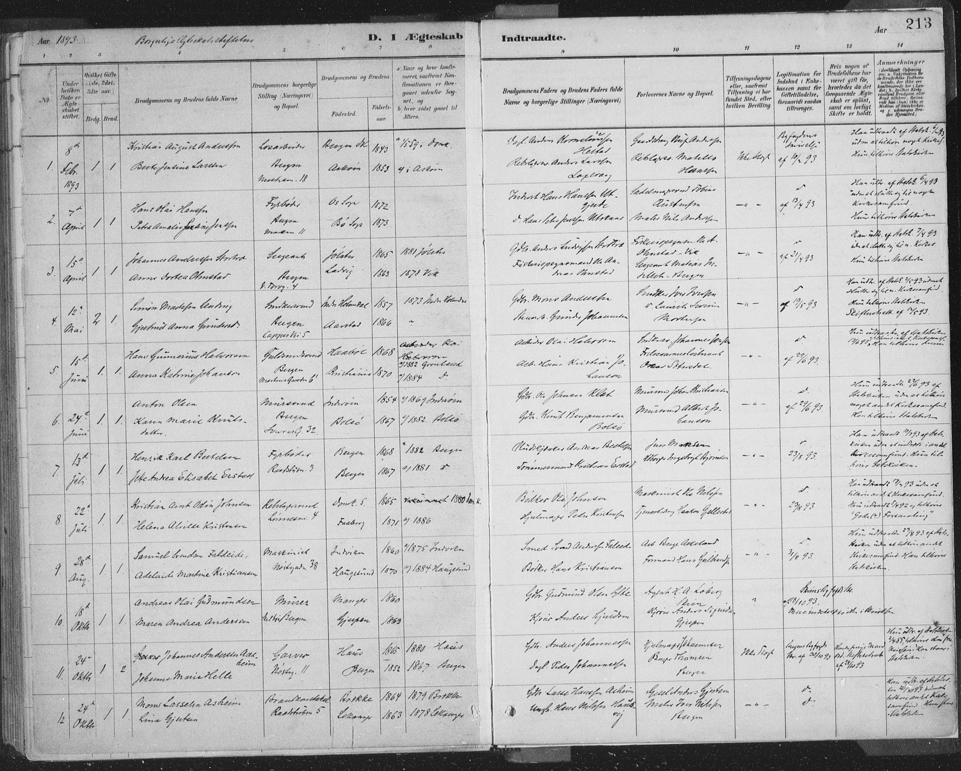 Domkirken sokneprestembete, SAB/A-74801/H/Hab/L0032: Parish register (copy) no. D 4, 1880-1907, p. 213